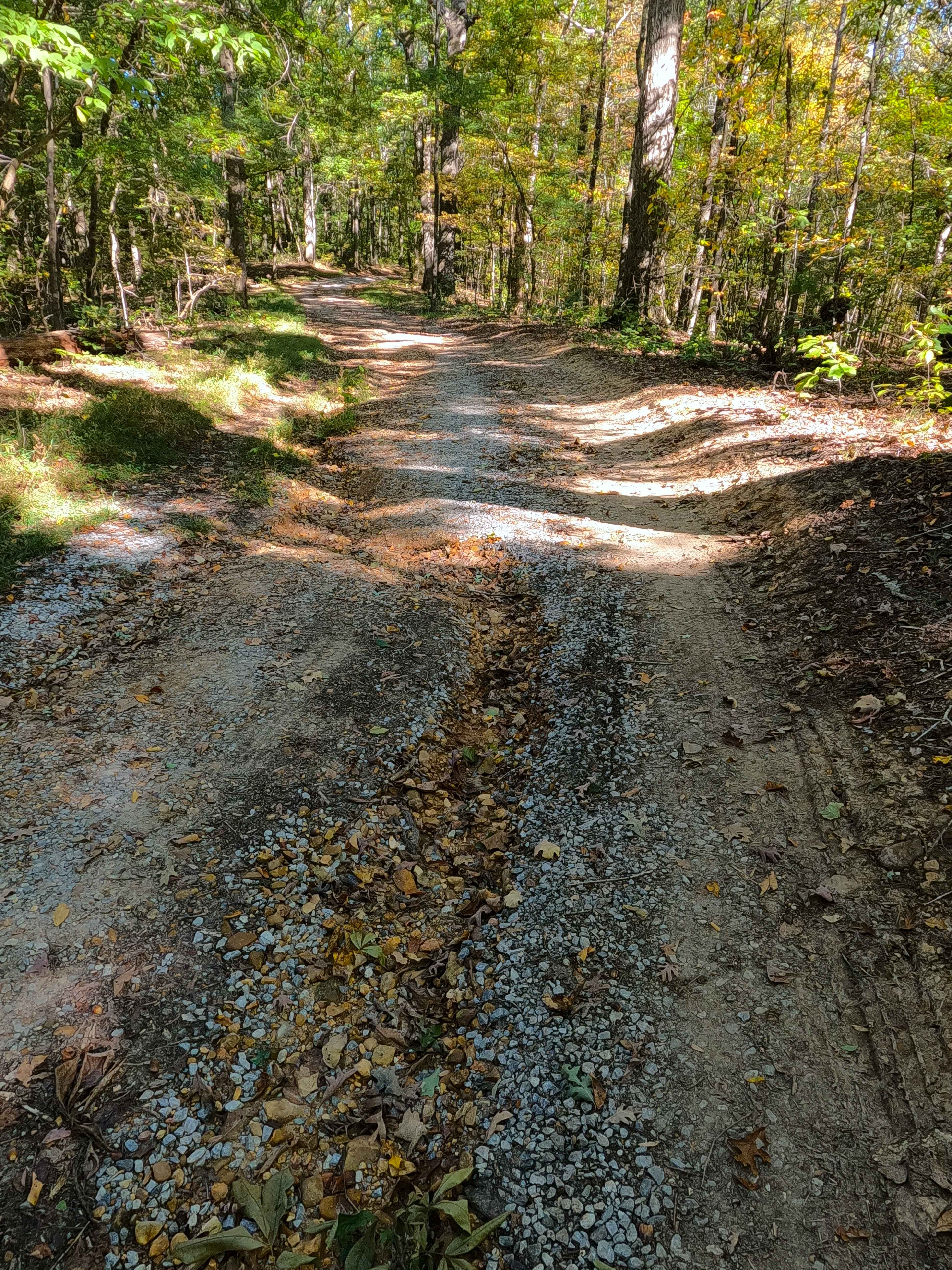 Spring Road - FS 155