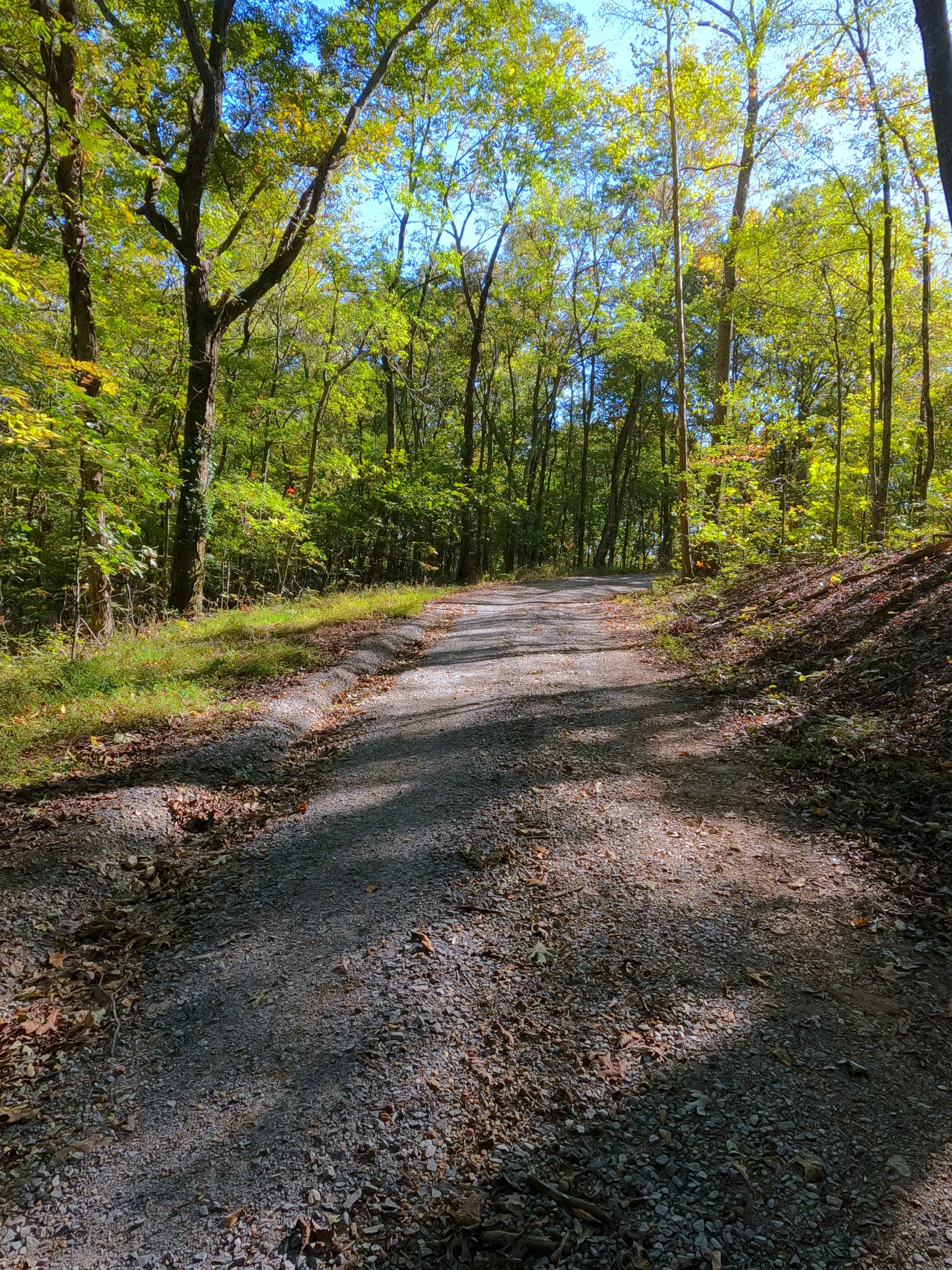 Shanklin Creek - FS 158