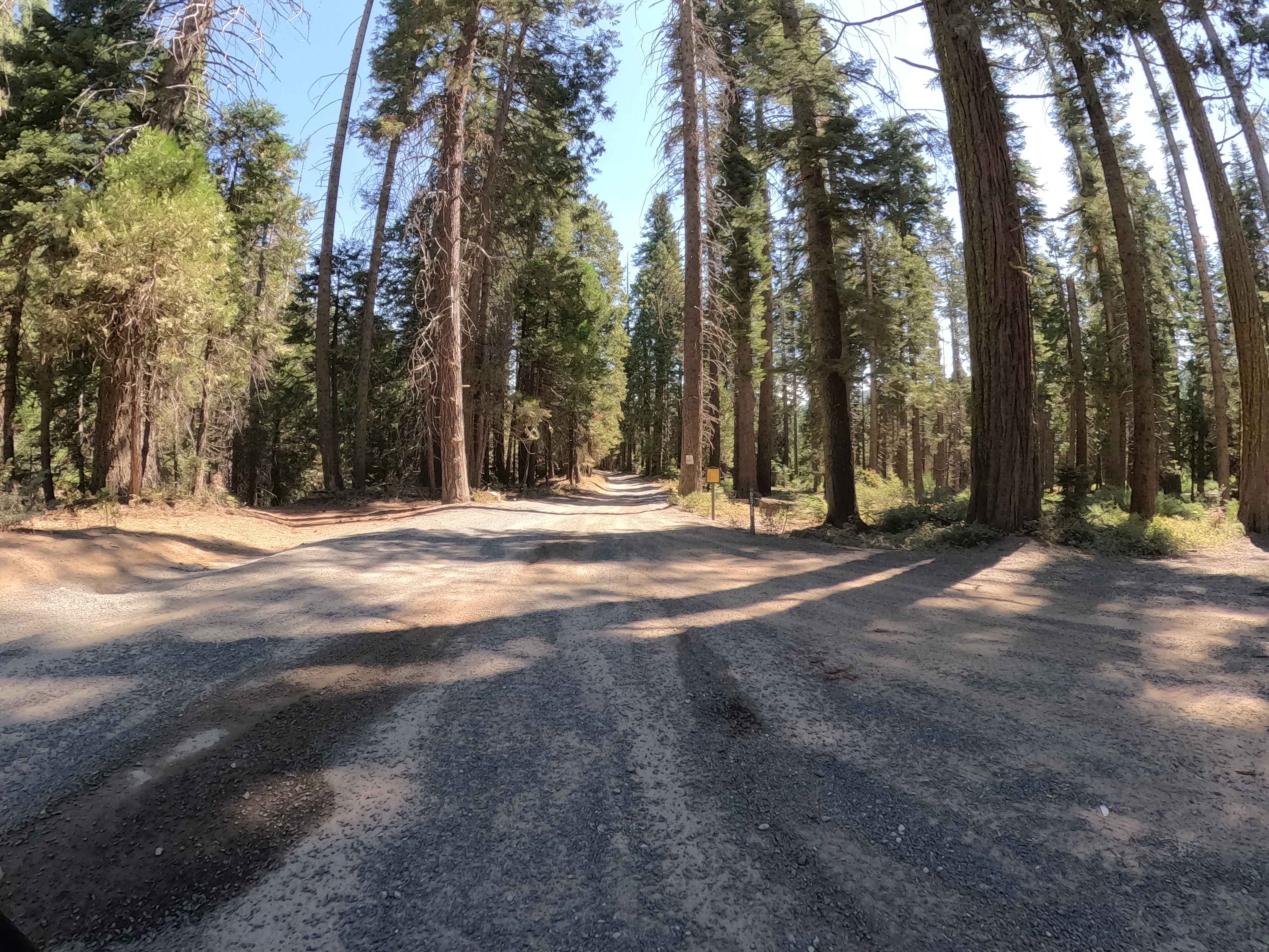 Boneyard Meadow - FS 6S072