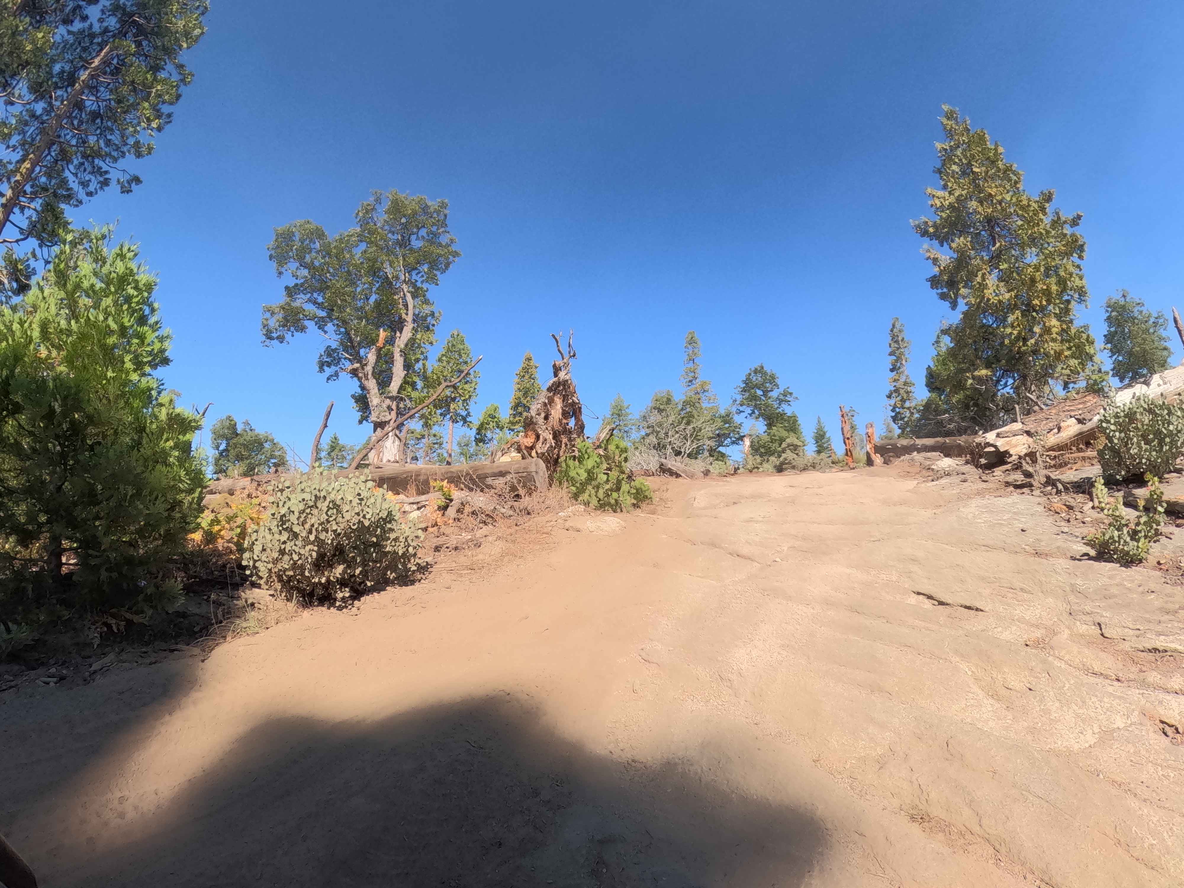 Vista Dome Spur - FS 22E347