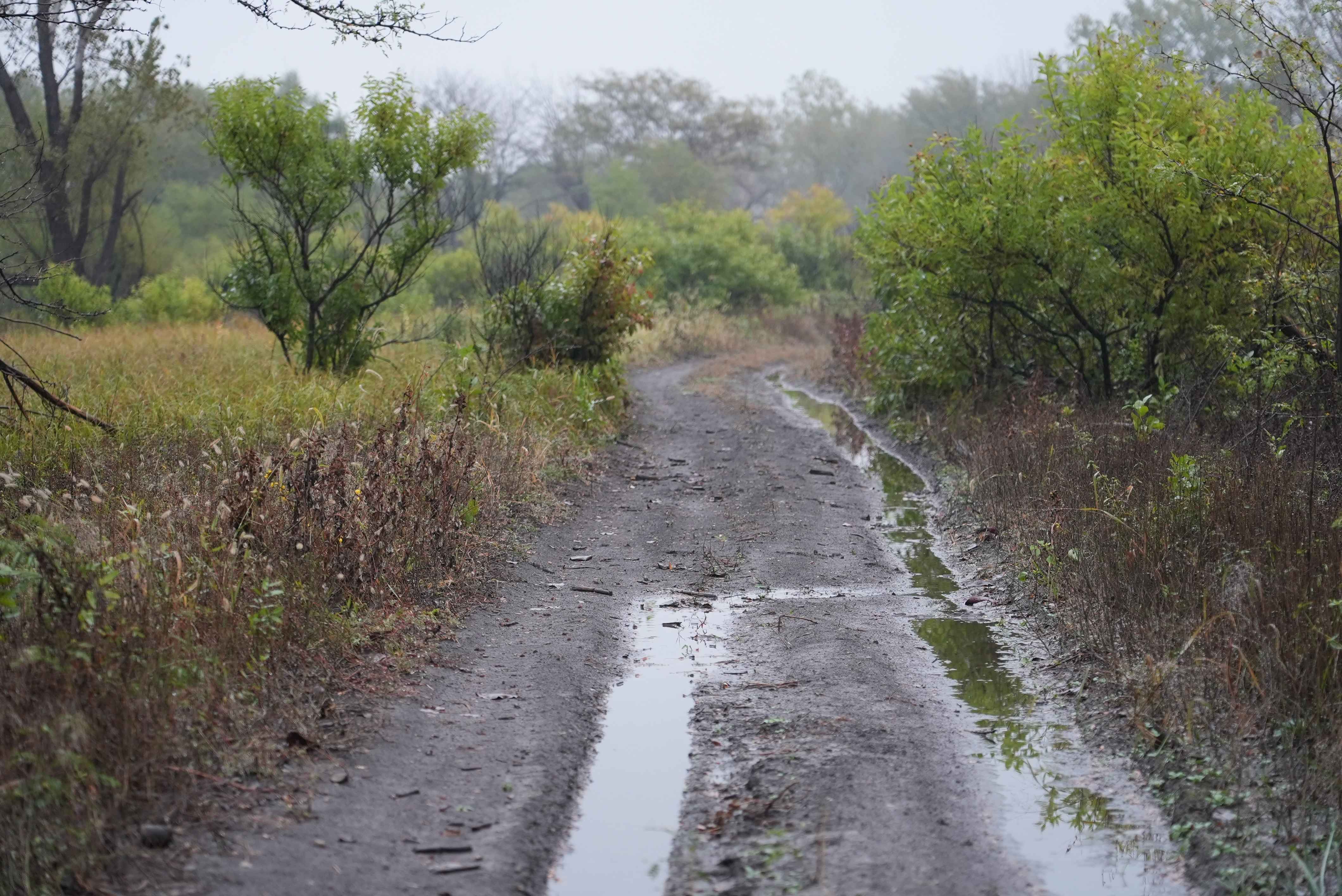 Otter Creek Main Trail