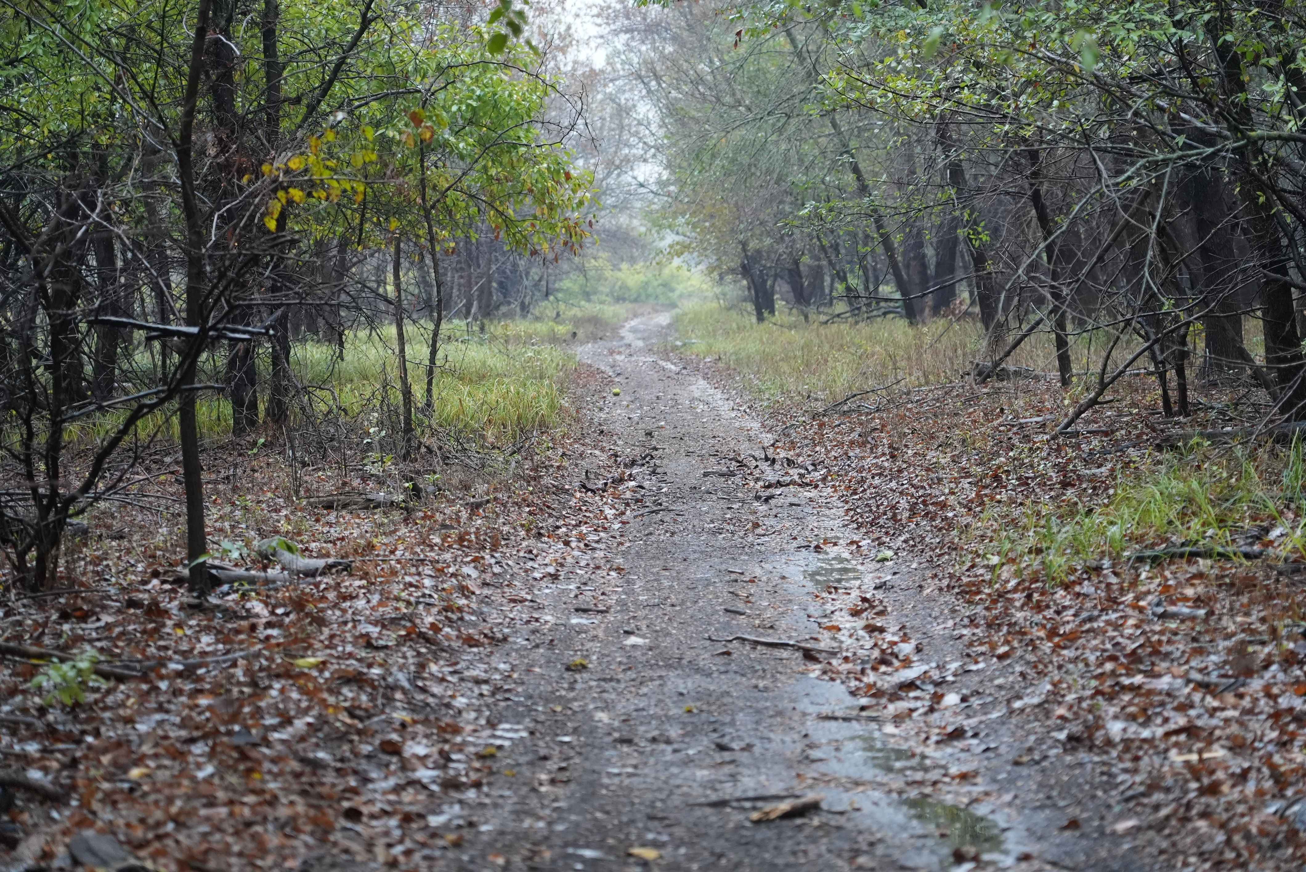 Otter Creek Main Trail