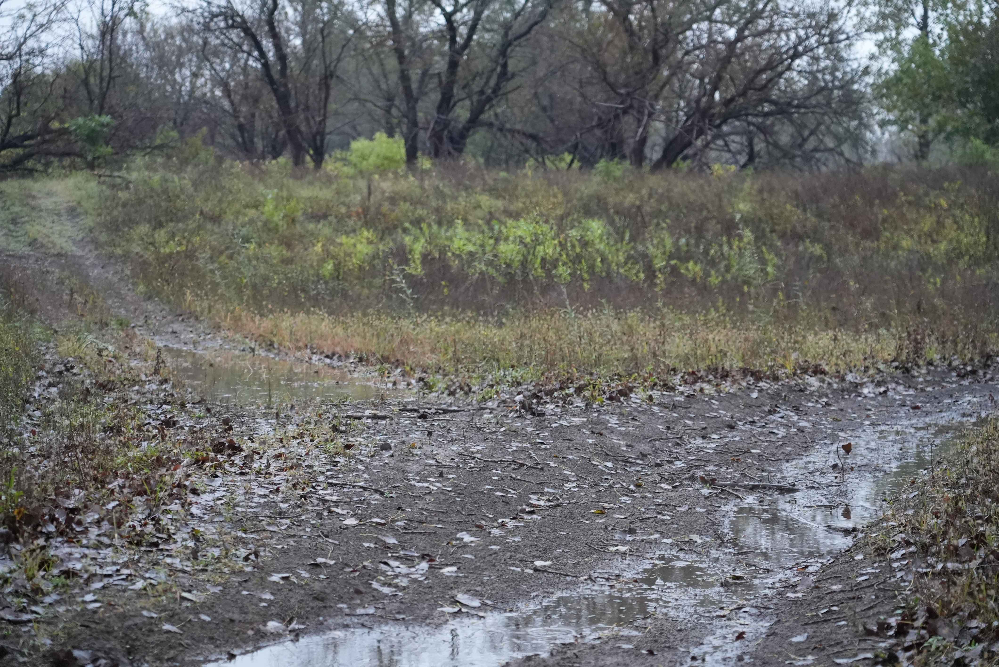 Otter Creek Inner Trail
