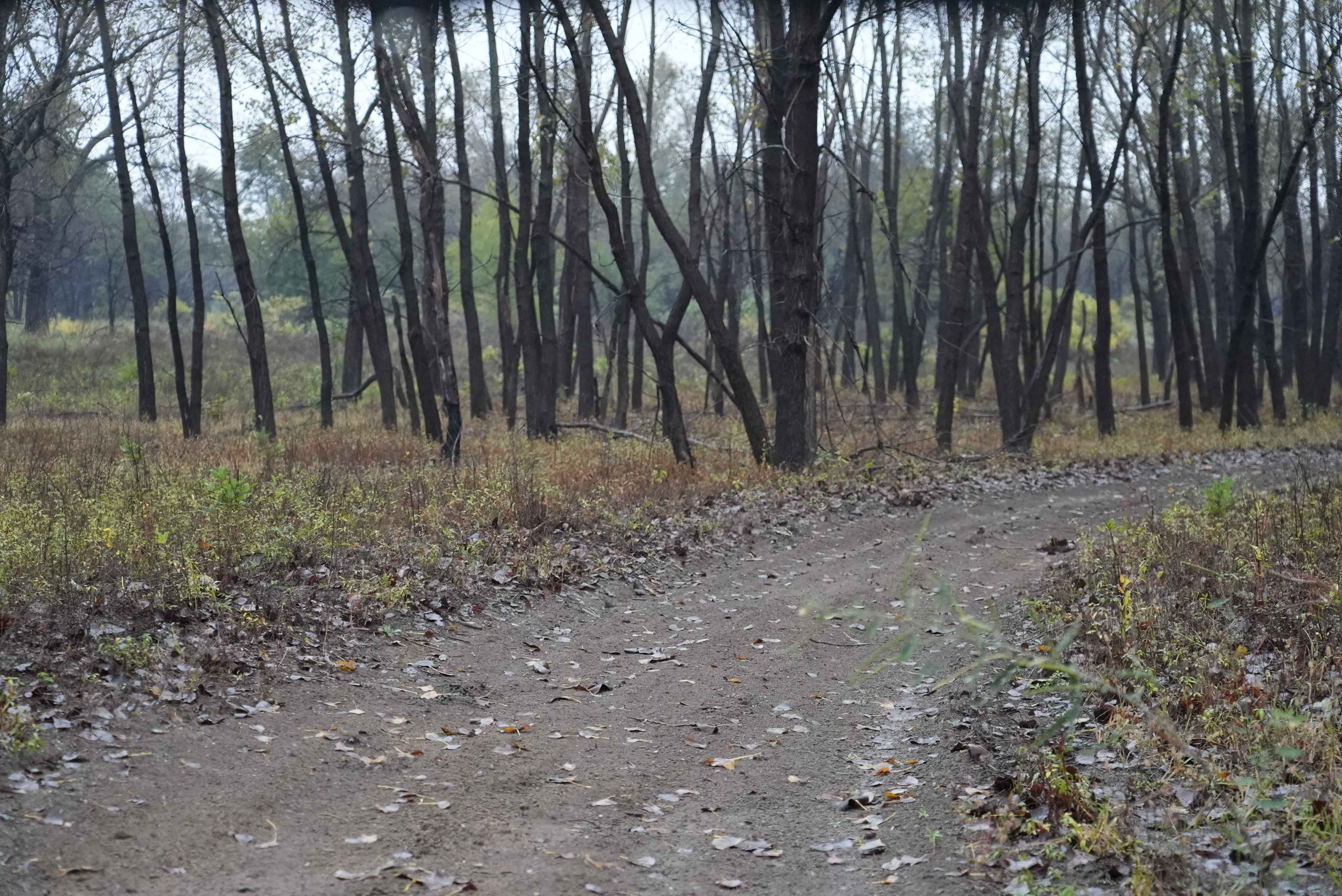 Otter Creek Inner Trail