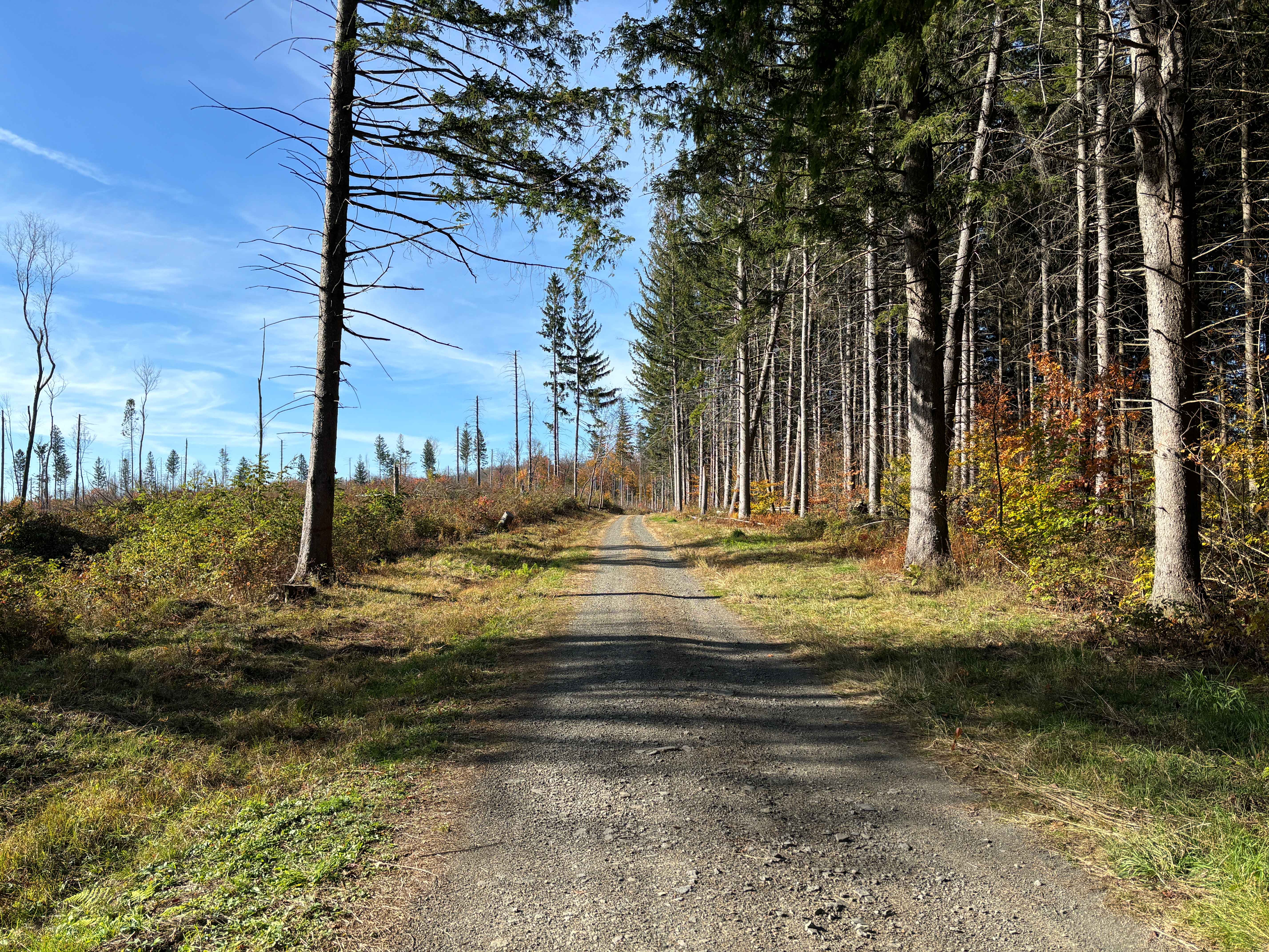 Maxon Creek State Forest
