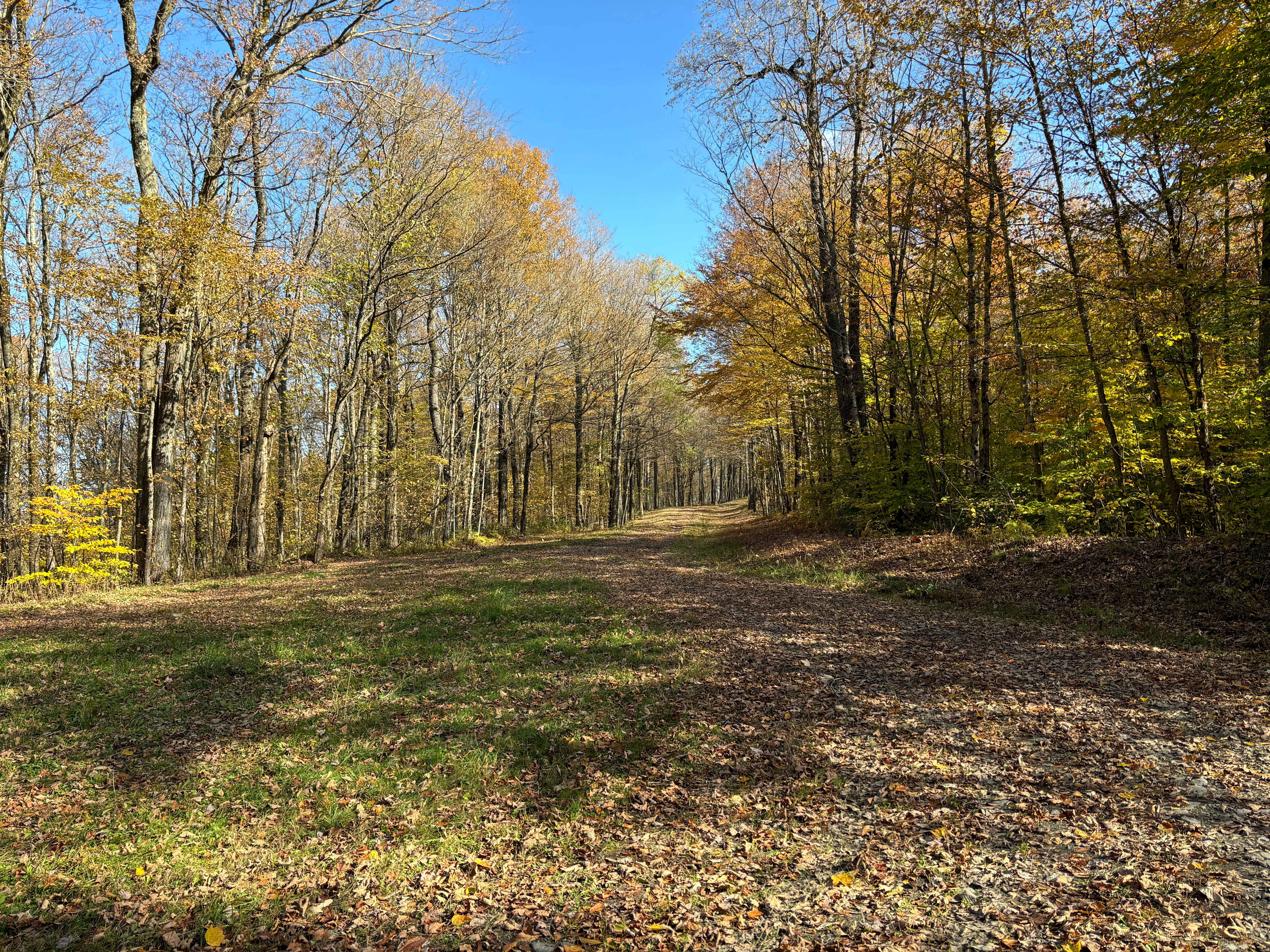 Maxon Creek State Forest