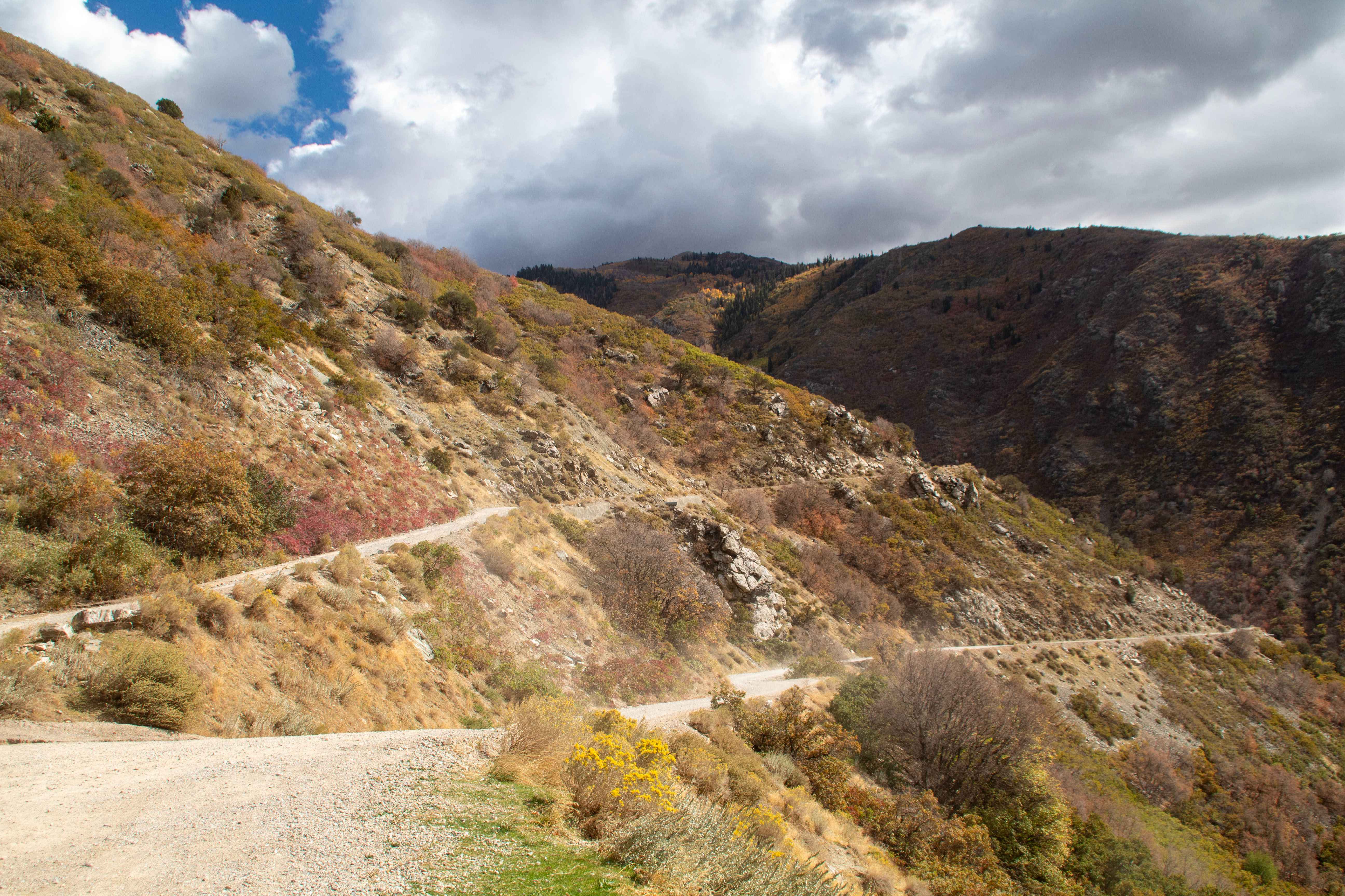 Farmington Canyon Trail