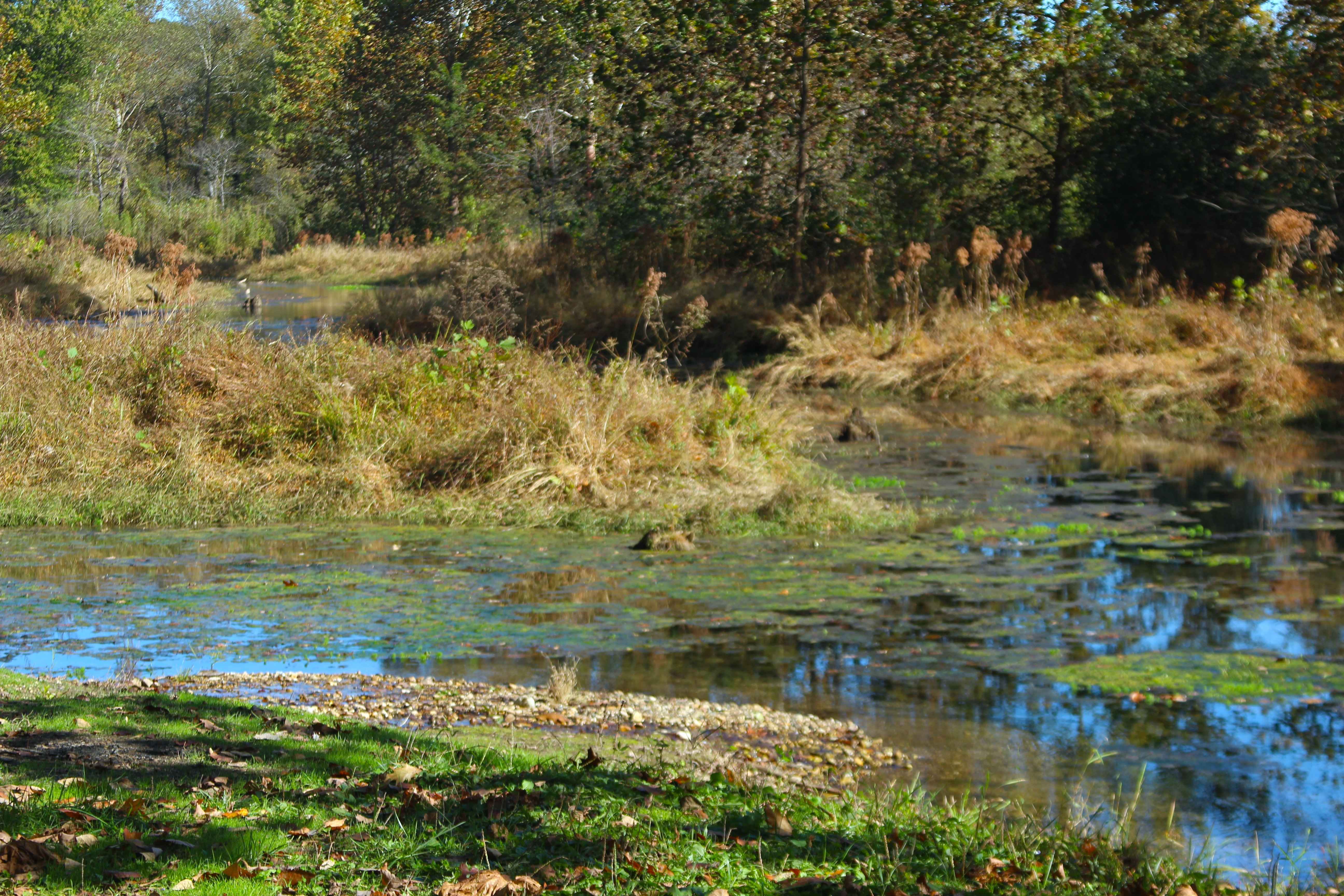 Ferguson Spring - FS 147