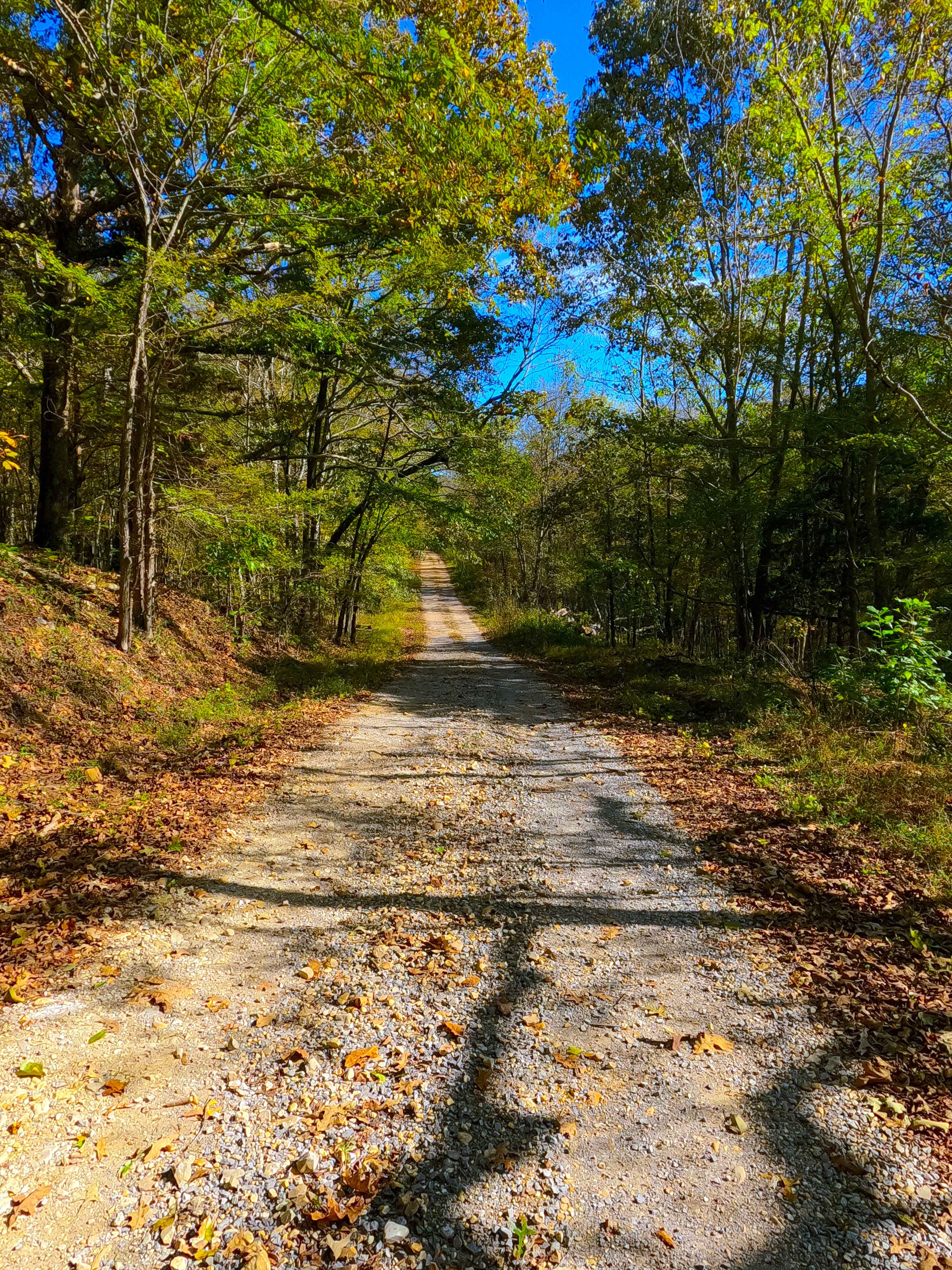 Ferguson Spring - FS 147