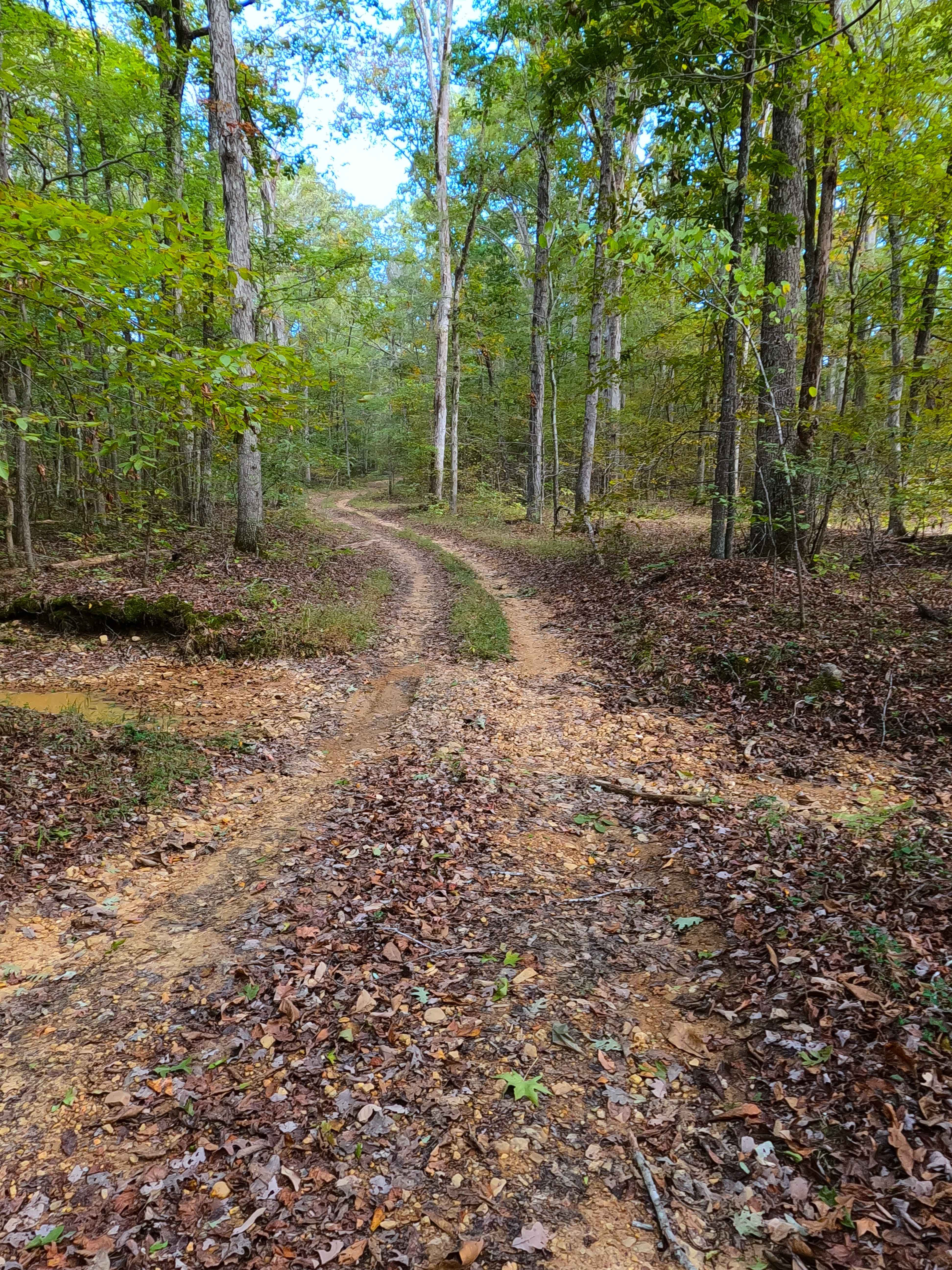 Ferguson Hollow - FS 324