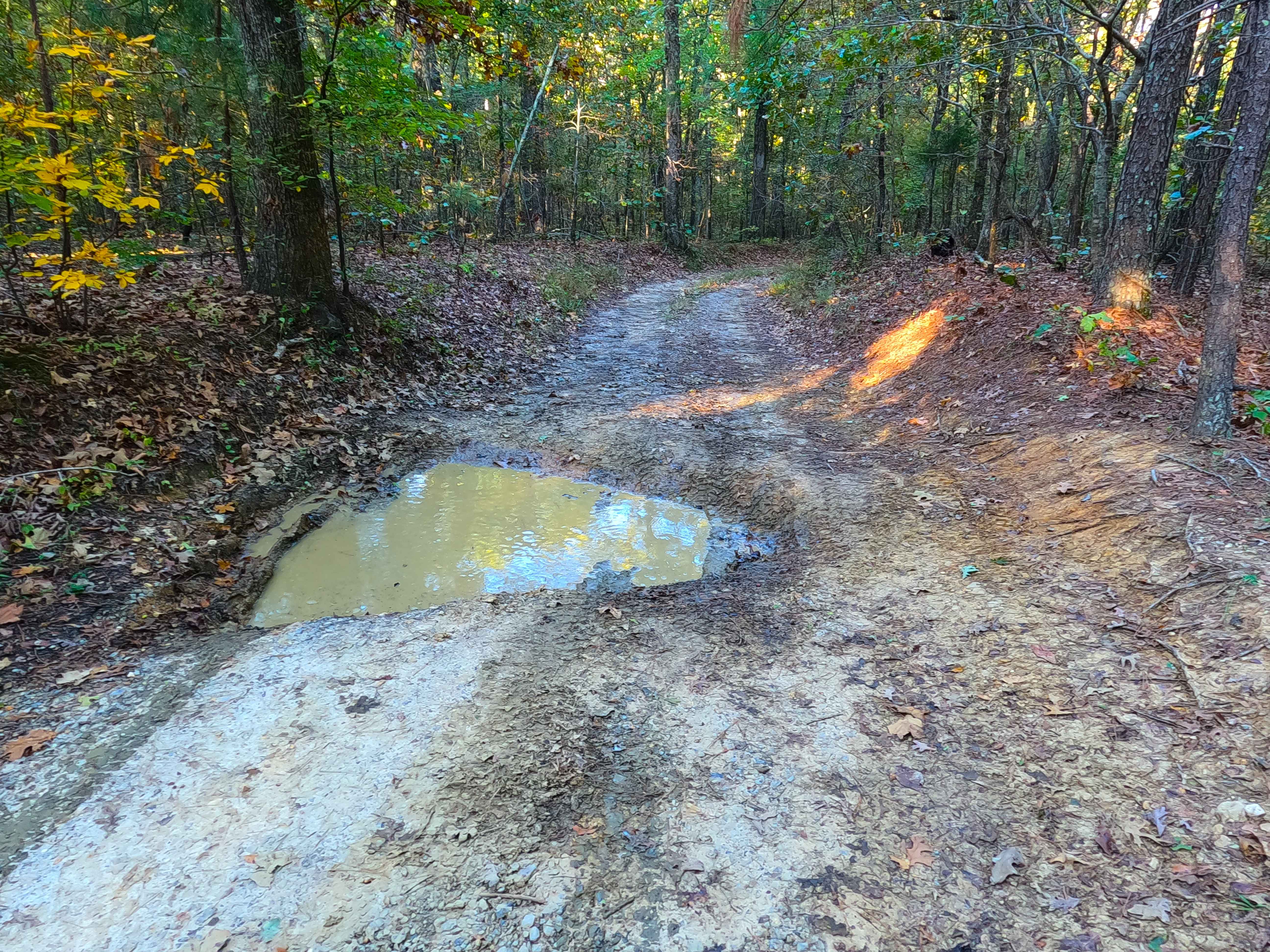 Energy Ridge - FS 322