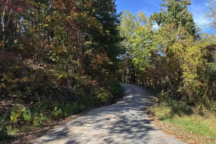 Steeles Creek - FS 228