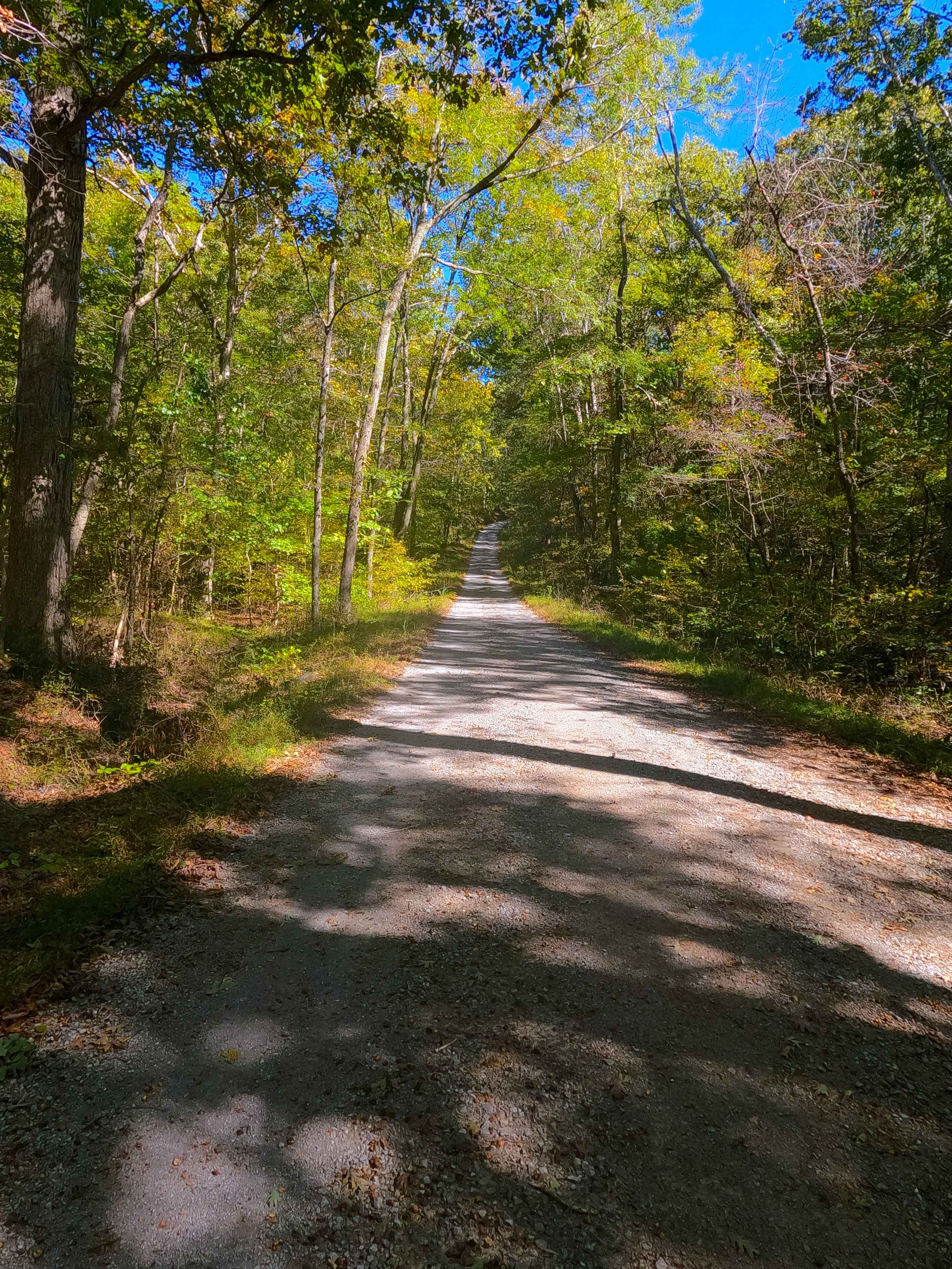 Scout Trail - FS 141