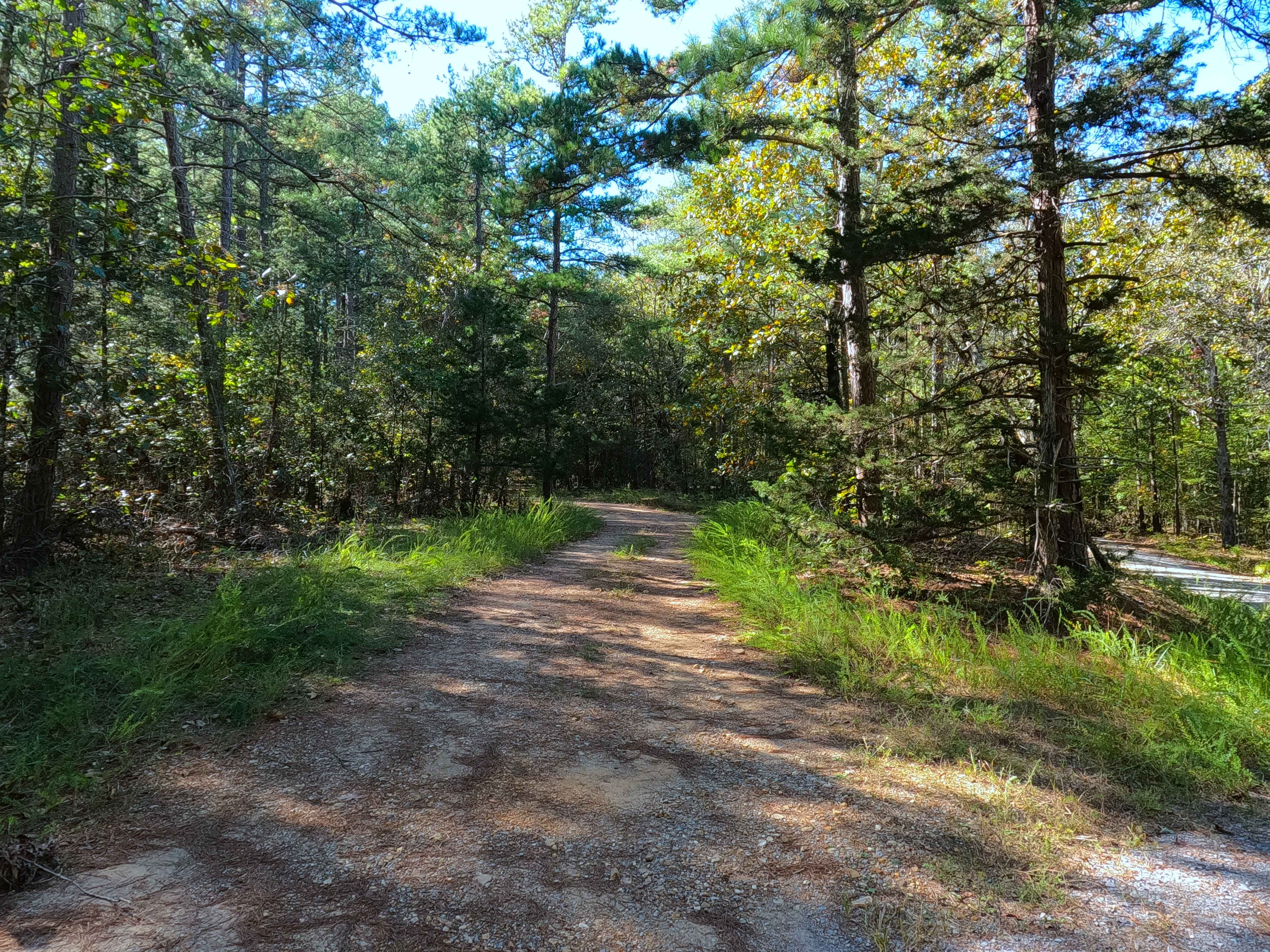 Cassidy Cemetery - FS 337