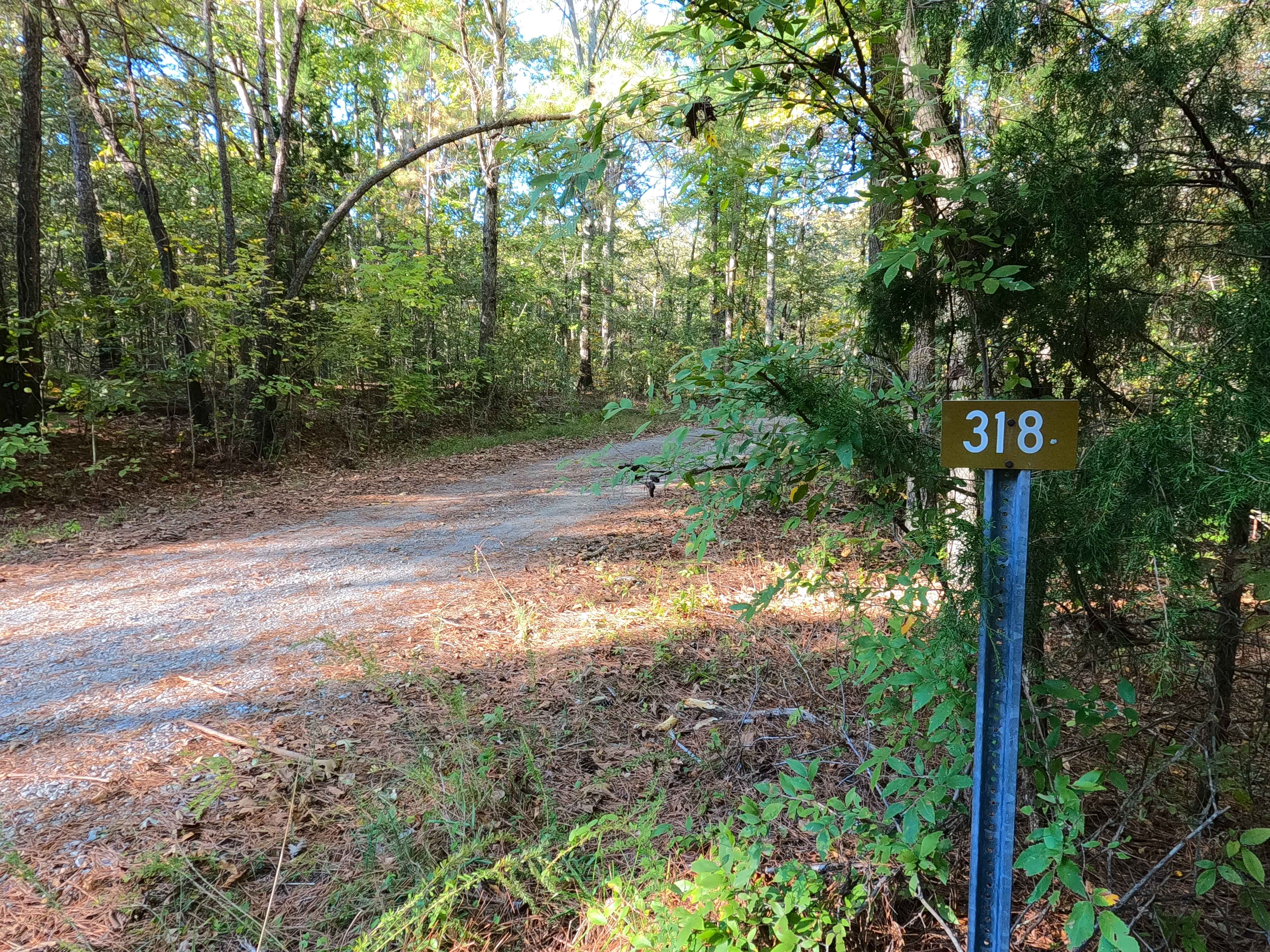 Sugar Creek - FS 318