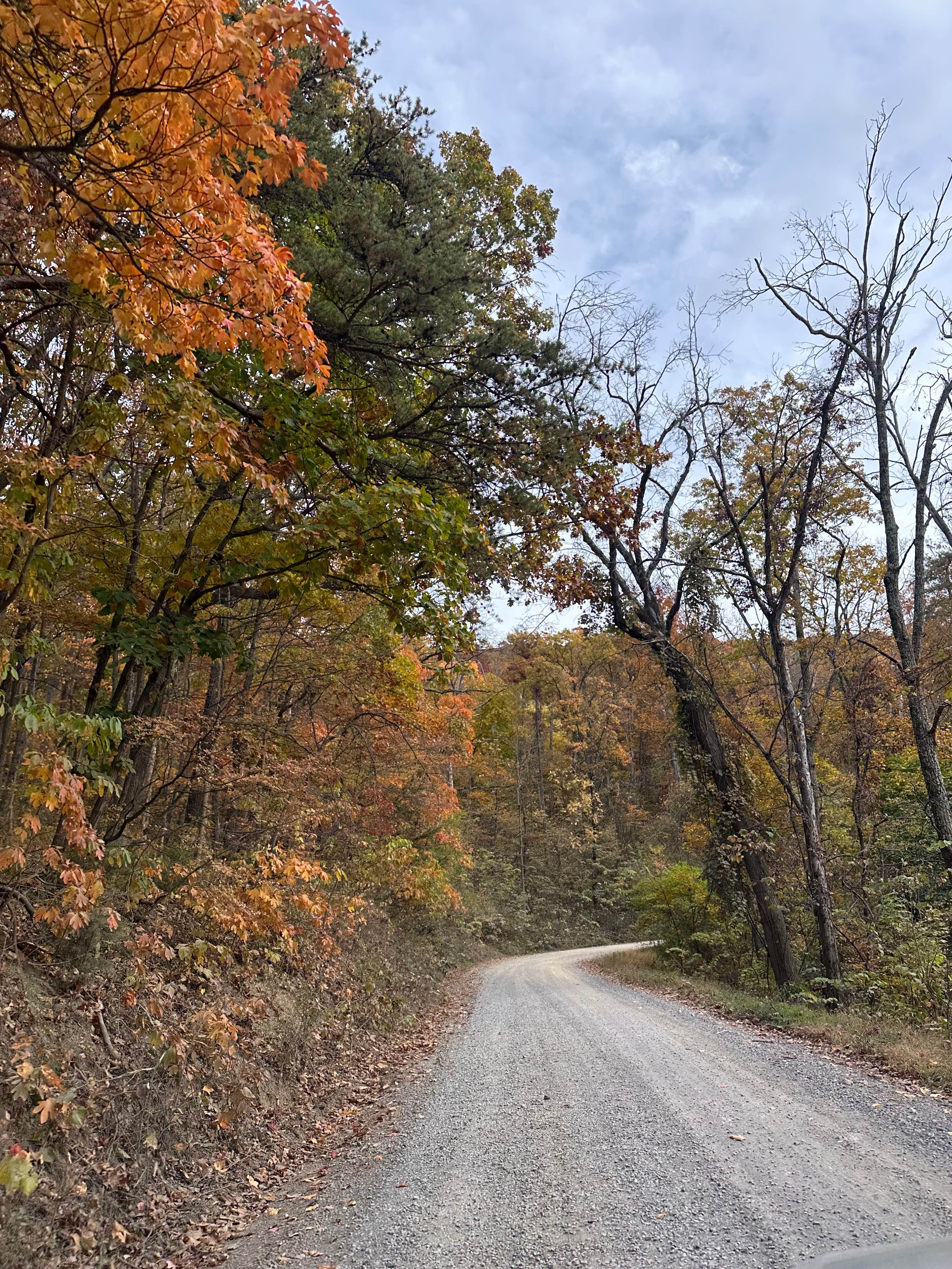 Woodstock Tower Road