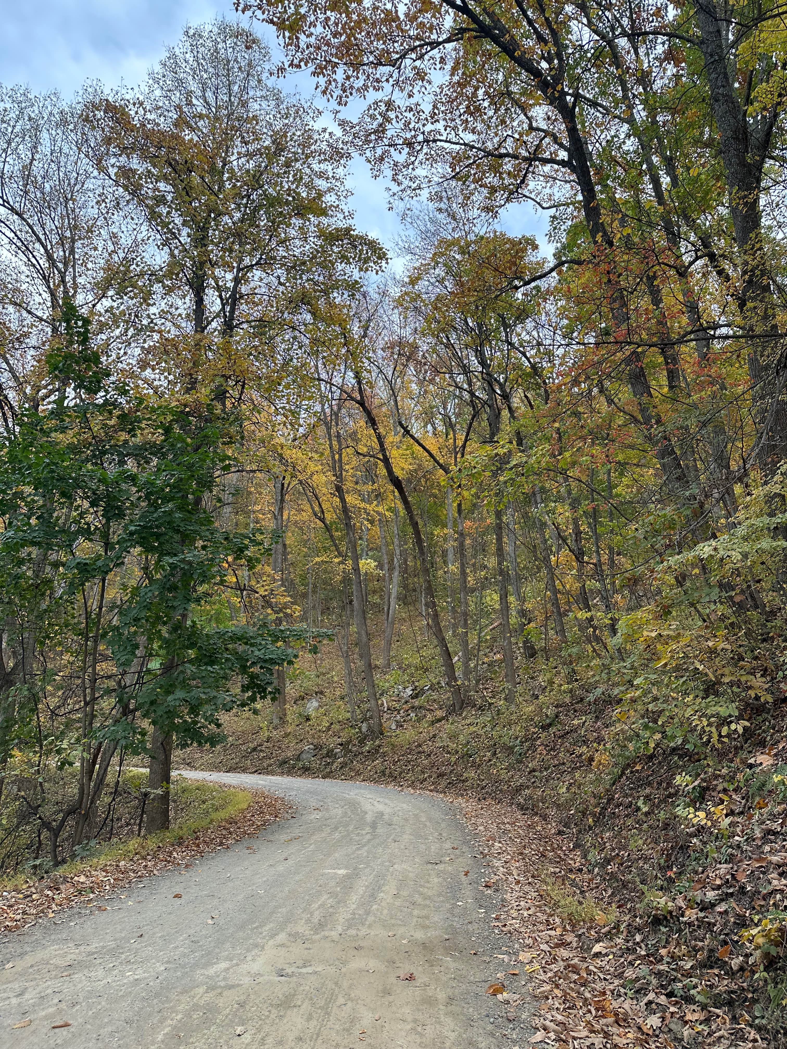 Woodstock Tower Road