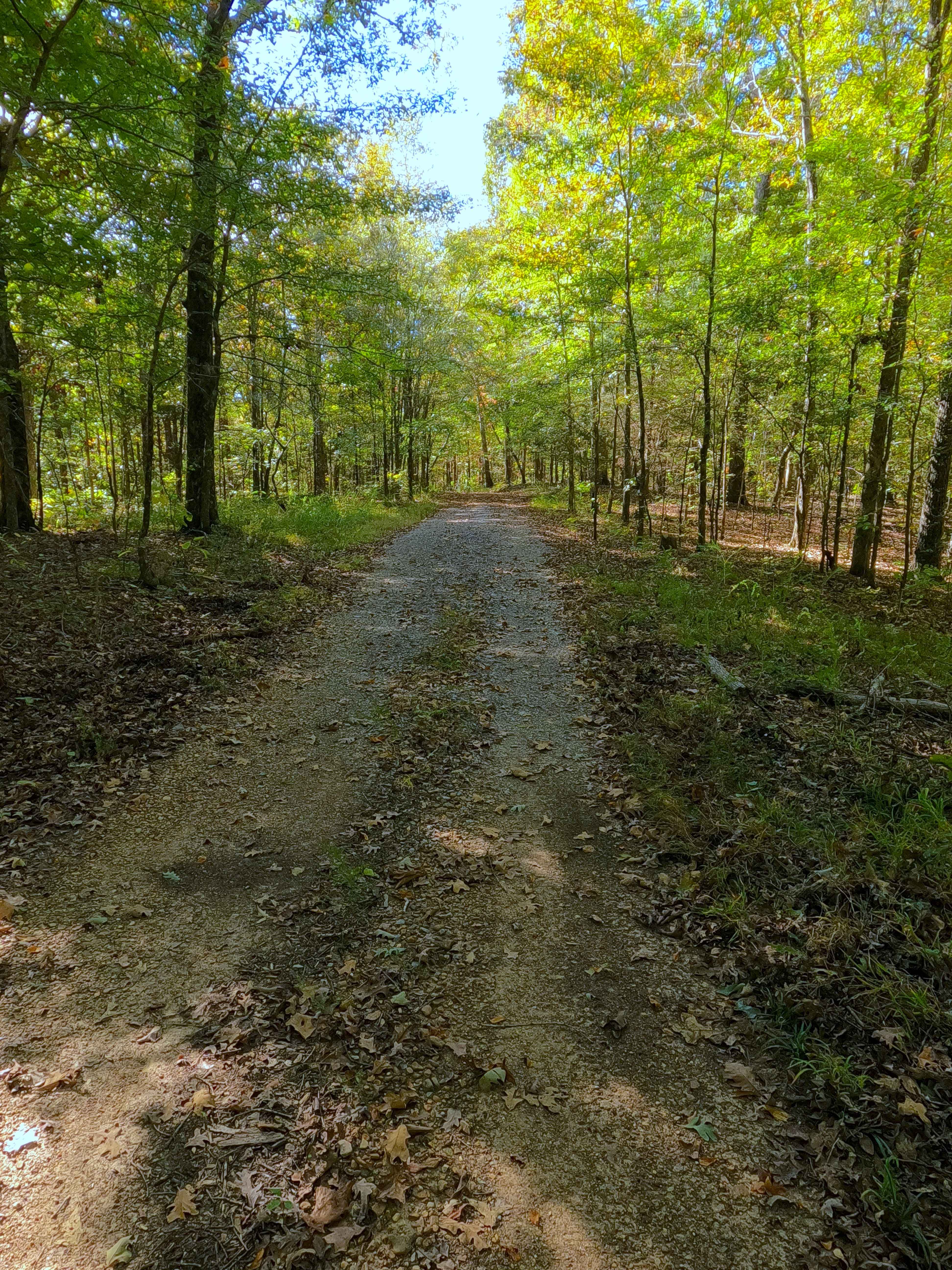 Boardinghouse Access - FS 333