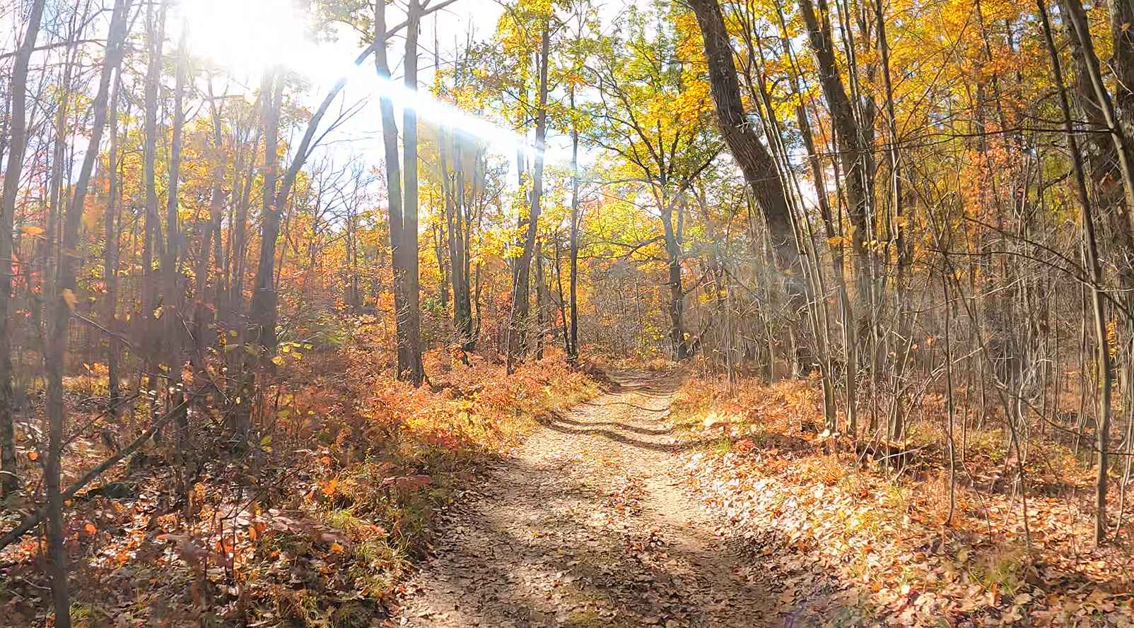 Mark Knee Memorial Grouse Trail
