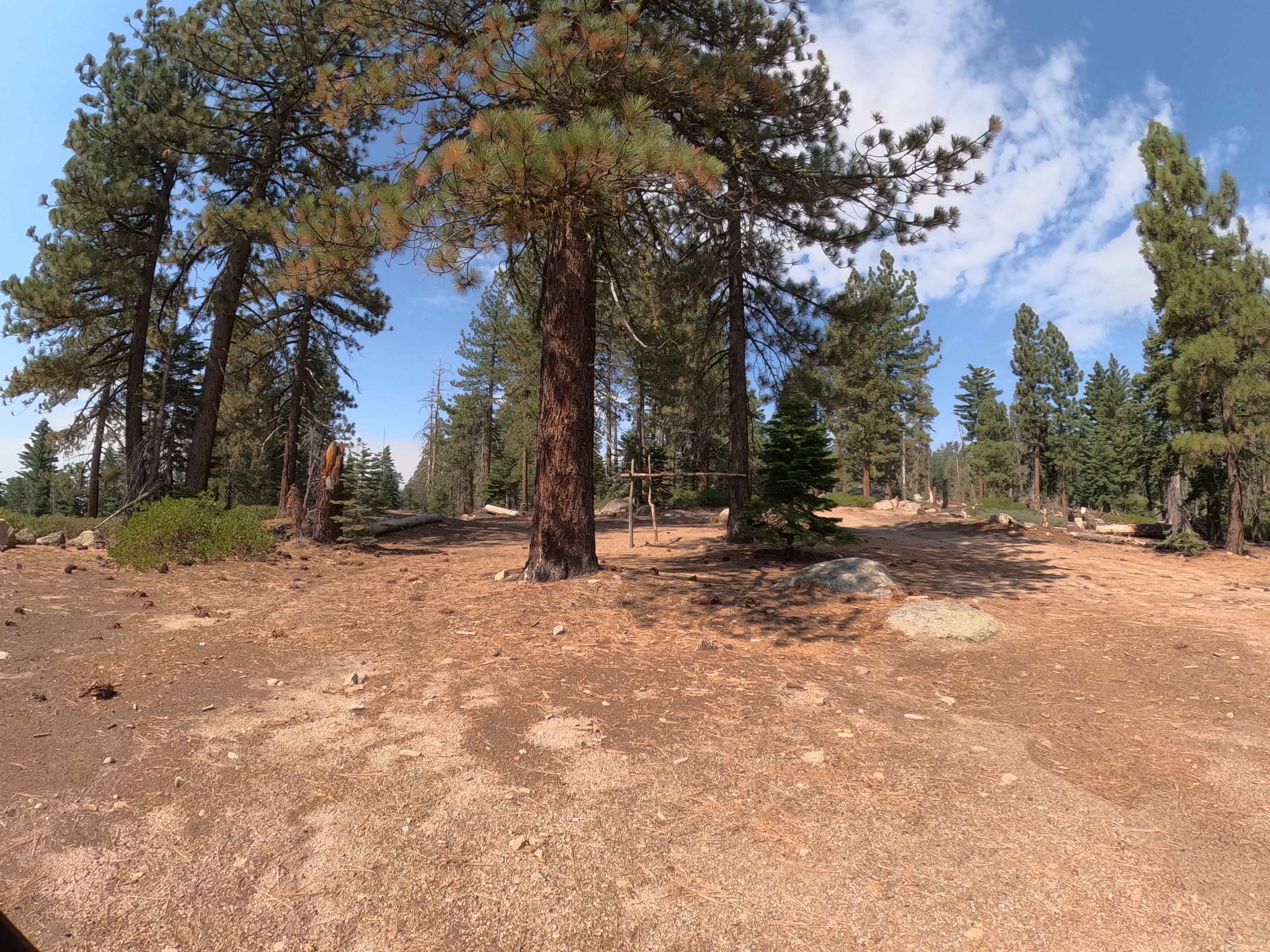 Little Poison Meadow - FS 6S099