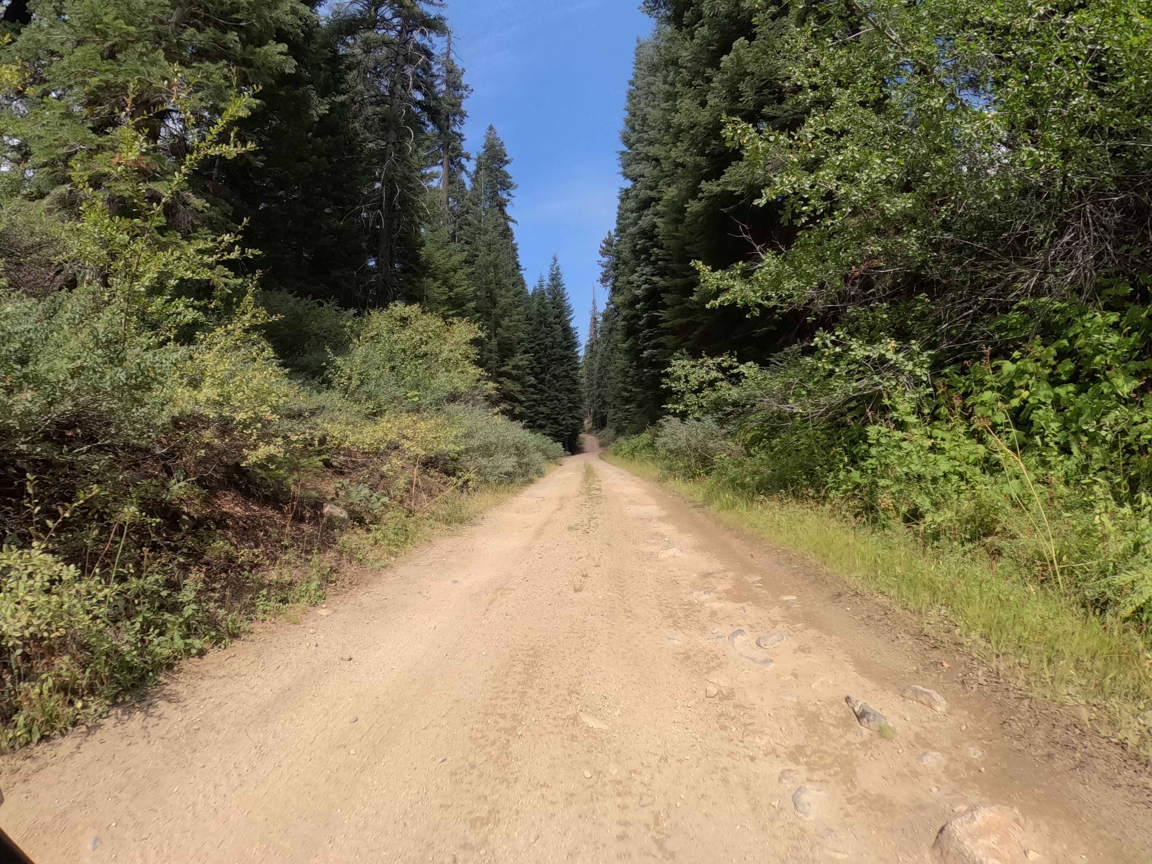 Beasore Loop - FS 6S010X