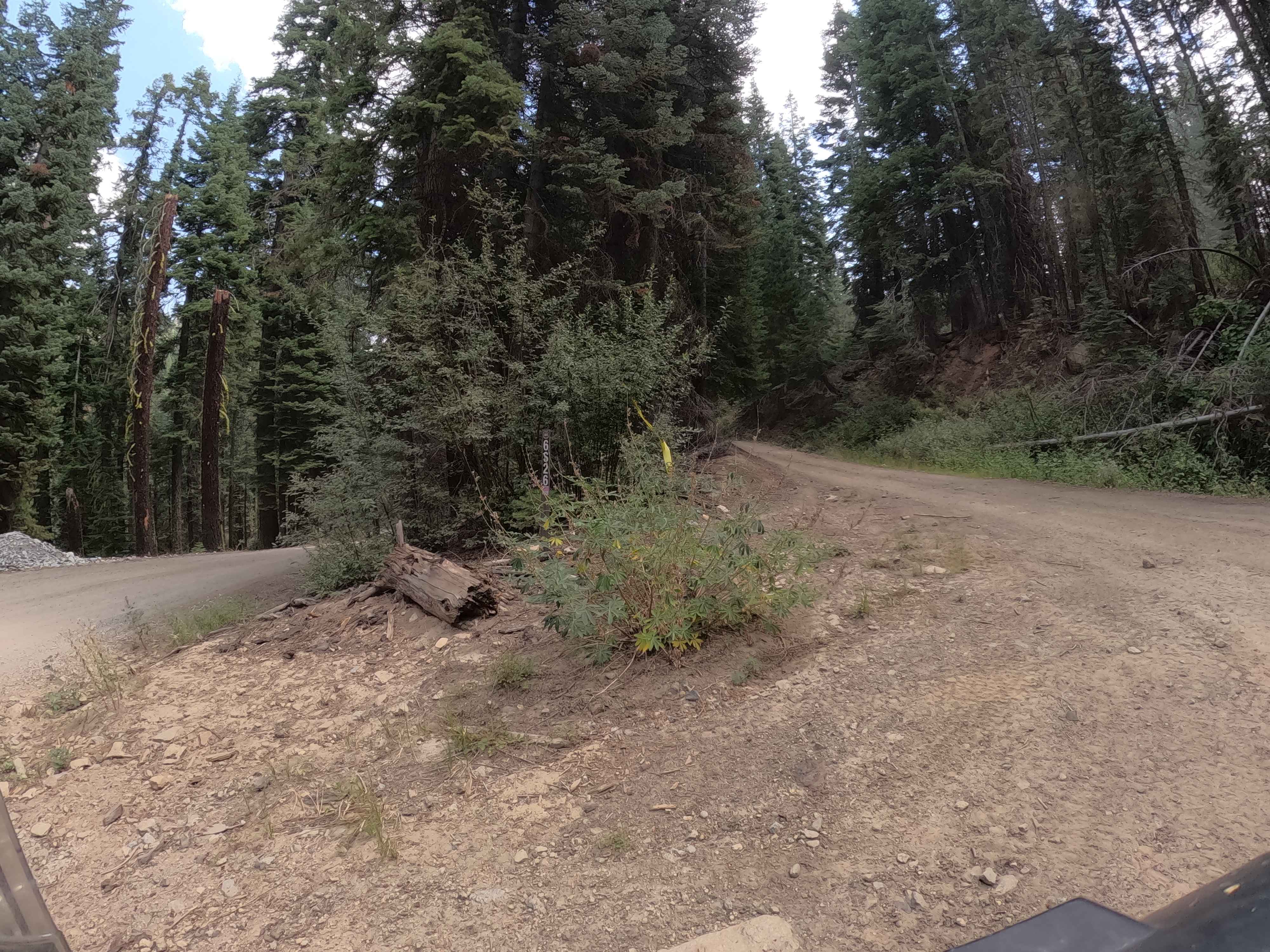 Section 36 - FS 6S026