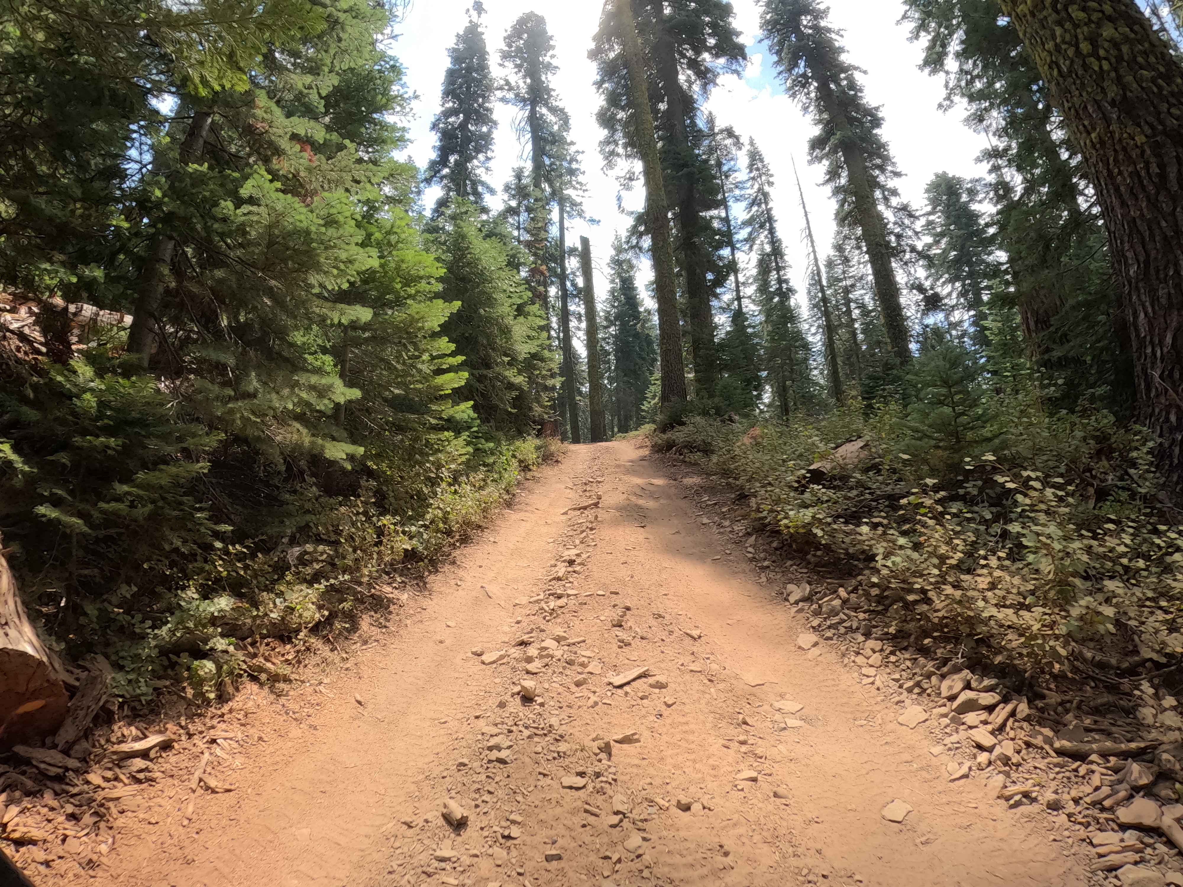 Section 36 - FS 6S026