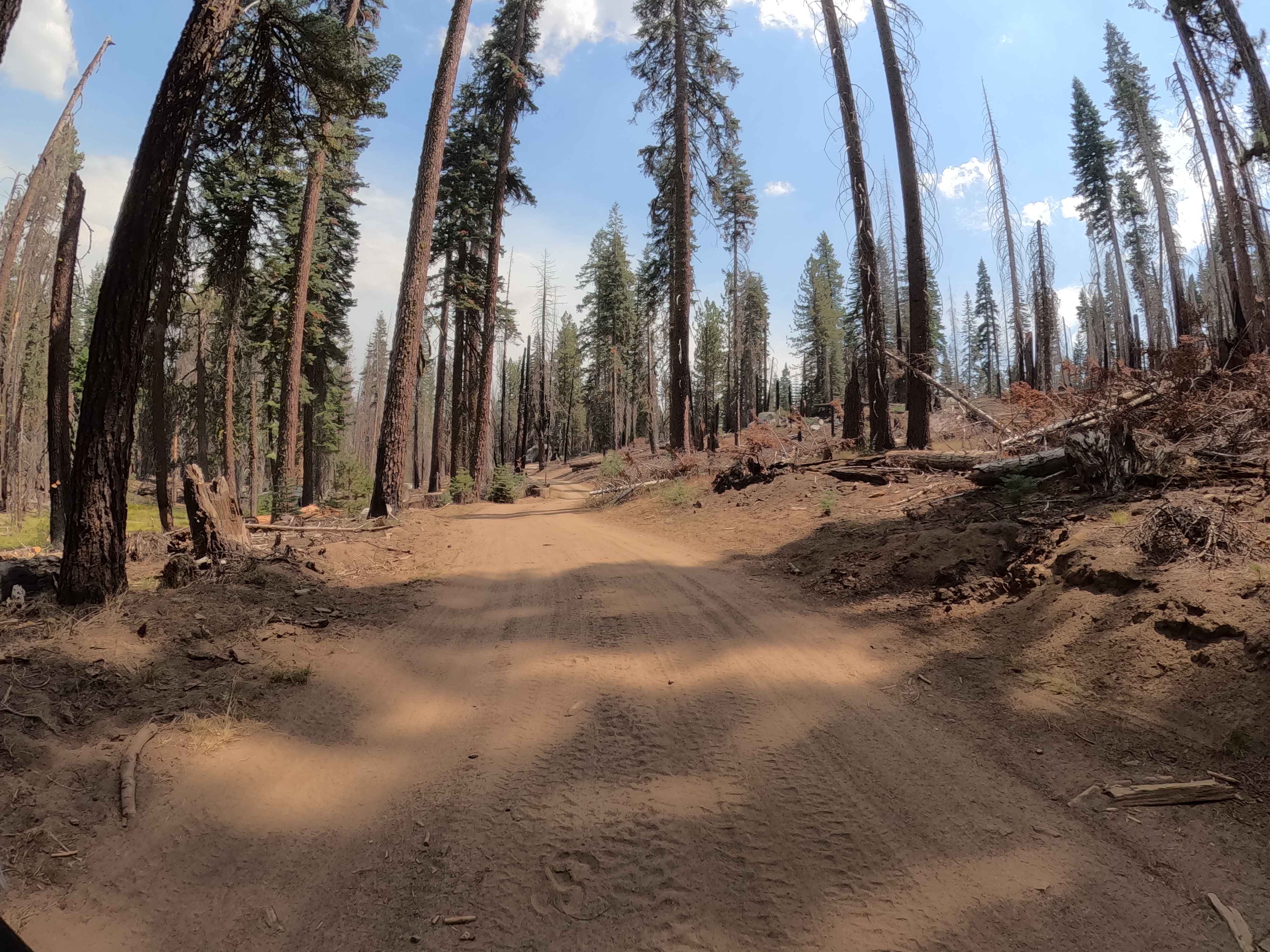 Mugler/Topping A Spur - FS 22E300/5S503A