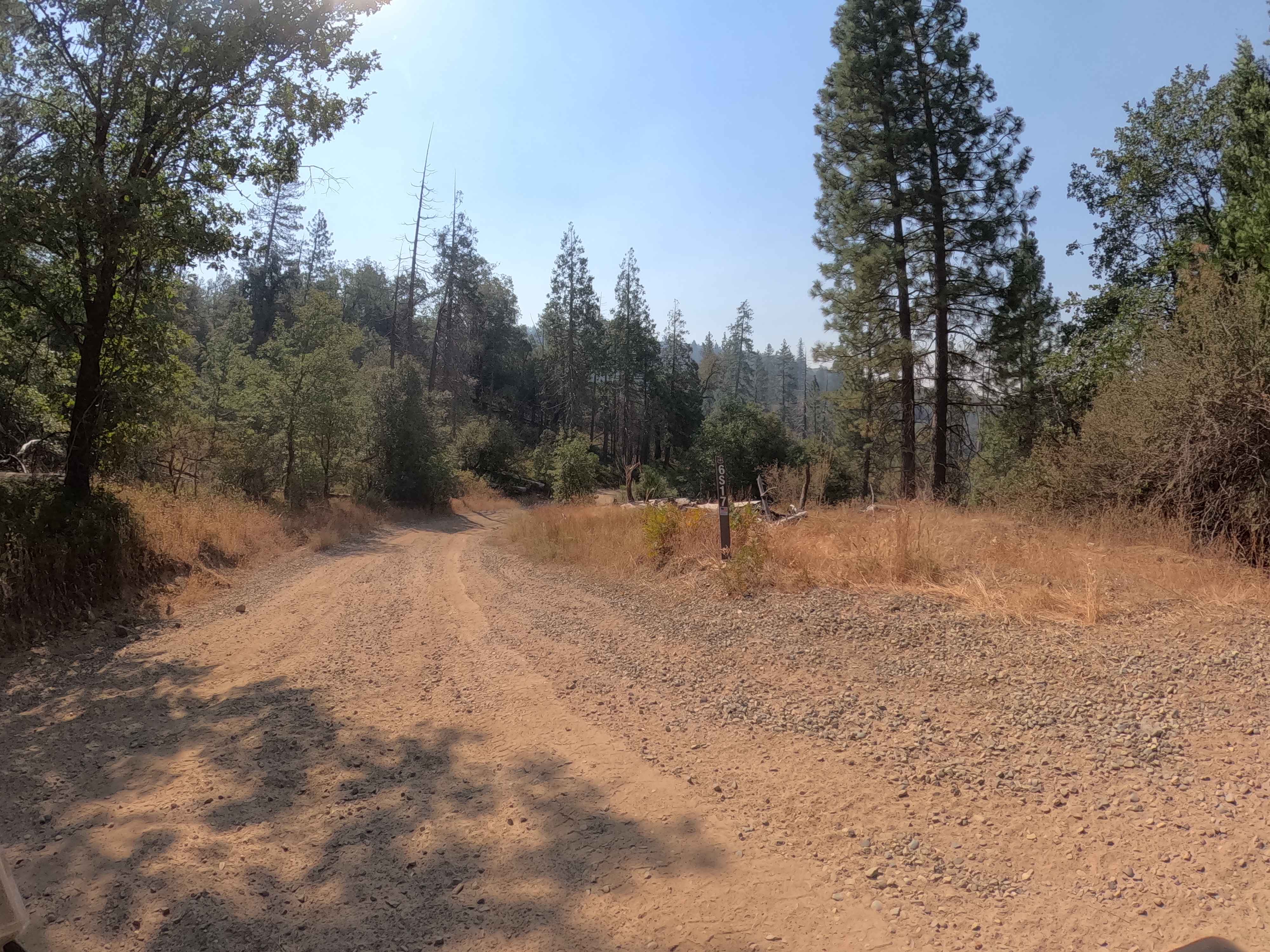 Ponderosa Fire Line - Lower - FS 6S017