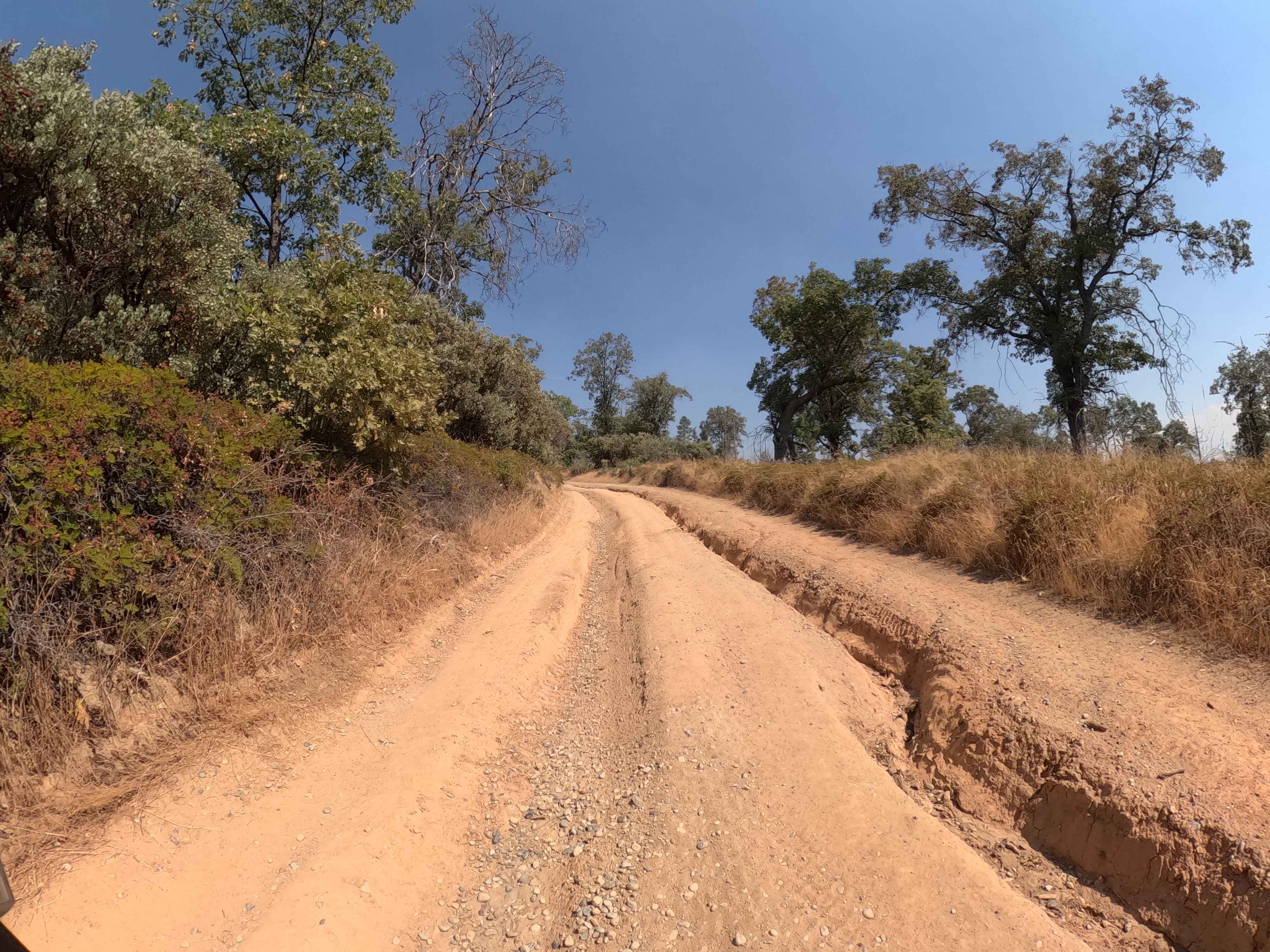 Ponderosa Fire Line - Upper - FS 6S017