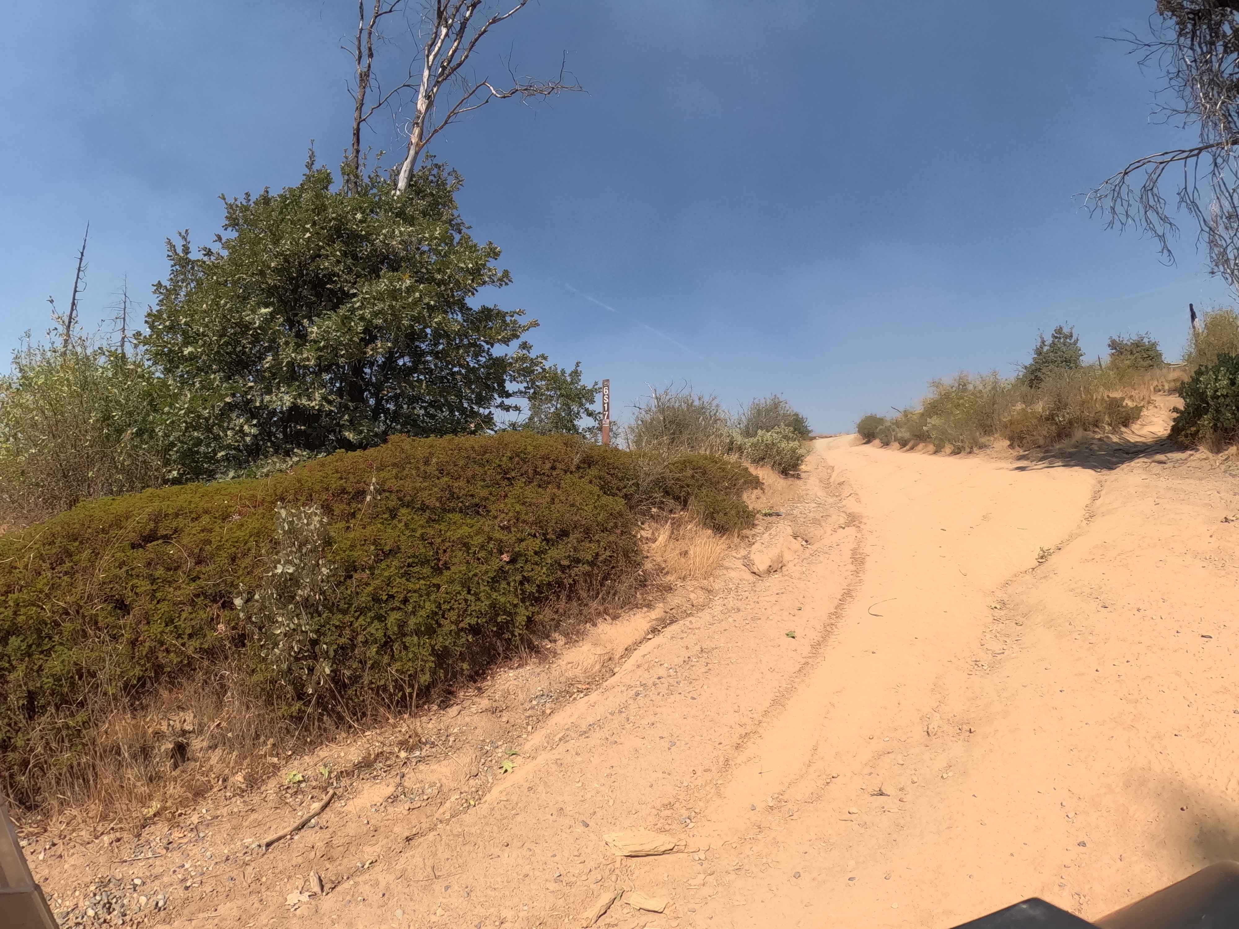 Ponderosa Fire Line - Upper - FS 6S017