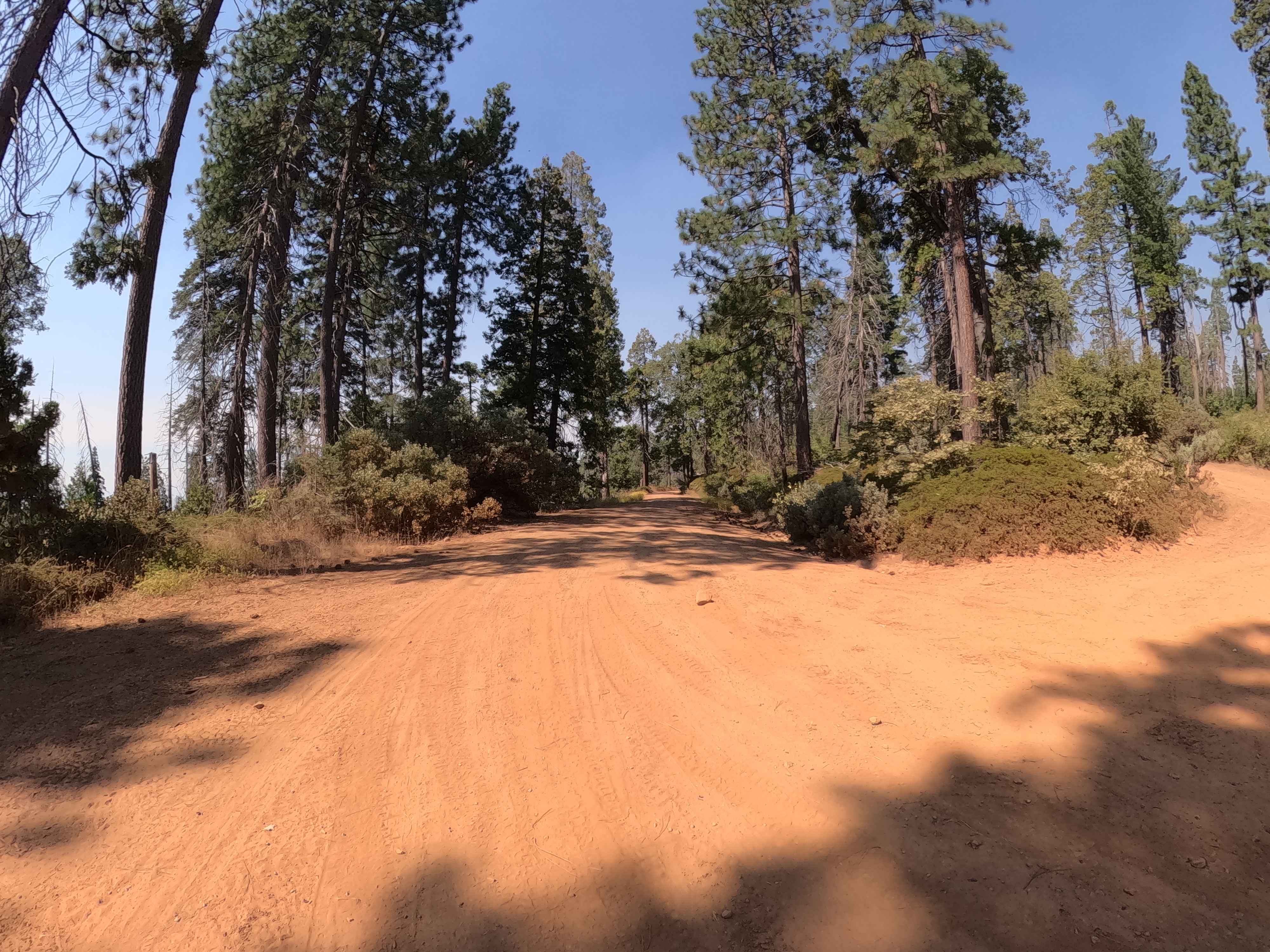 Silver Knob - FS 6S063