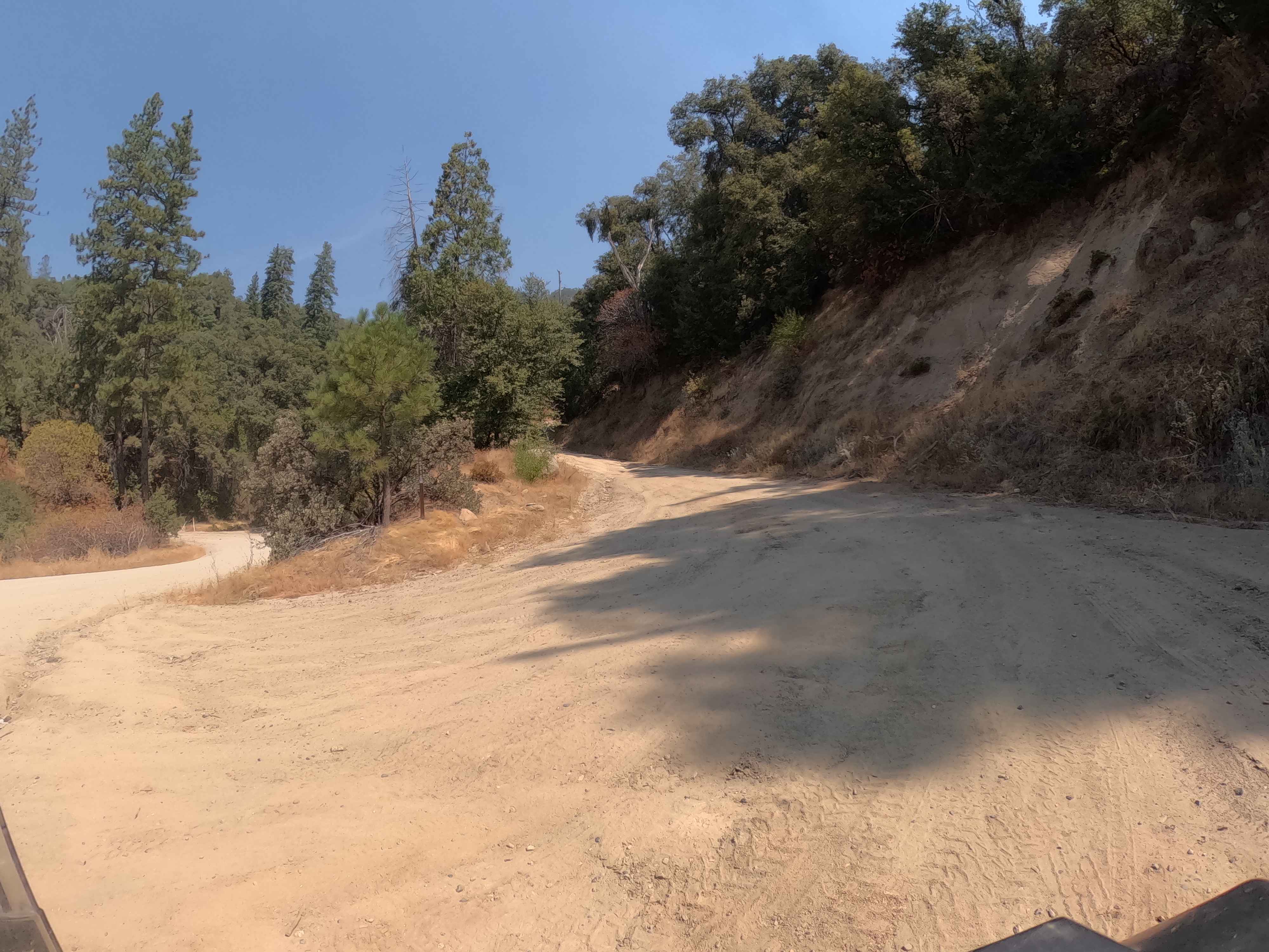 Sonny Meadow - FS 5S016