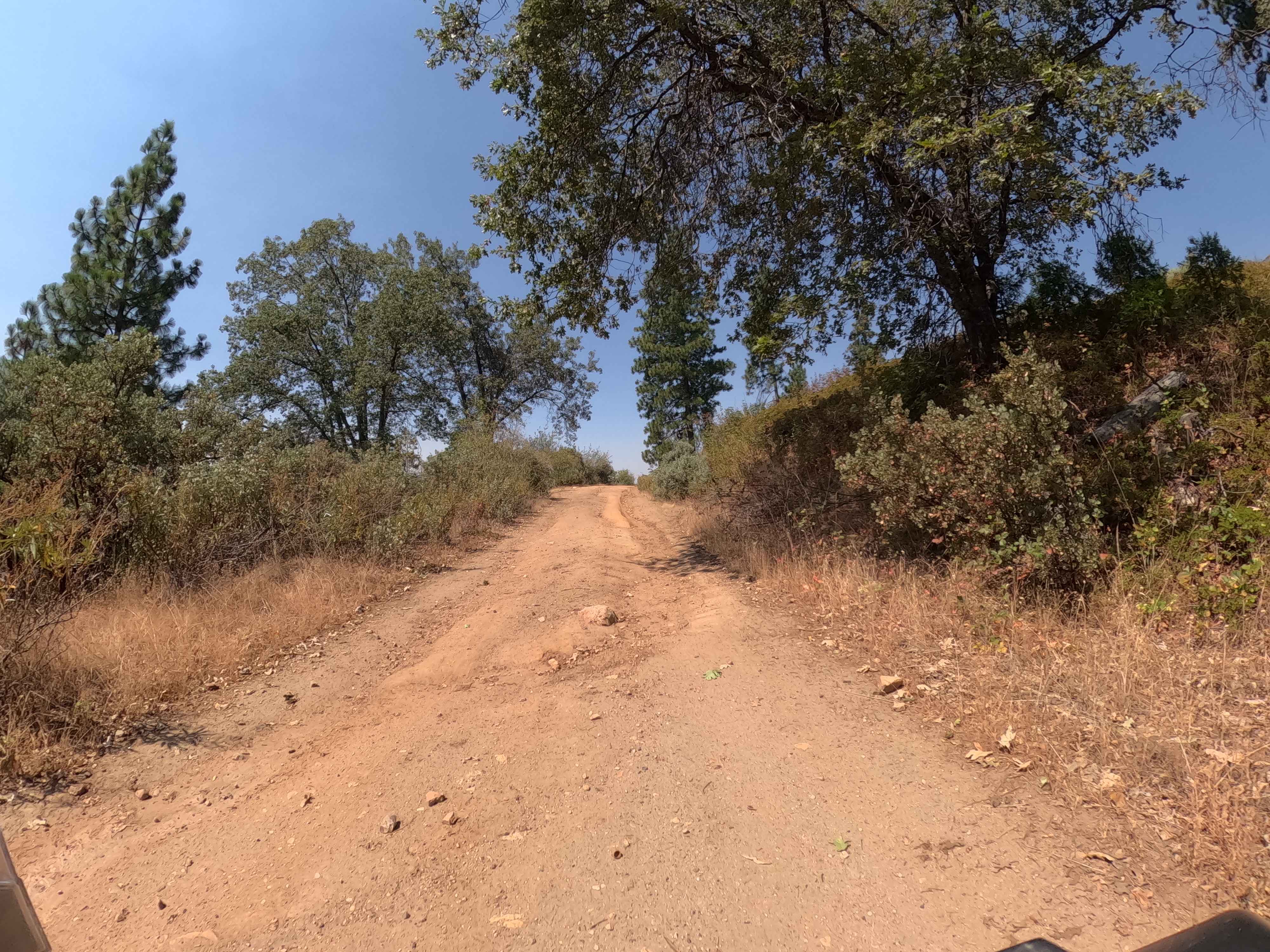 Sonny Meadow - FS 5S016