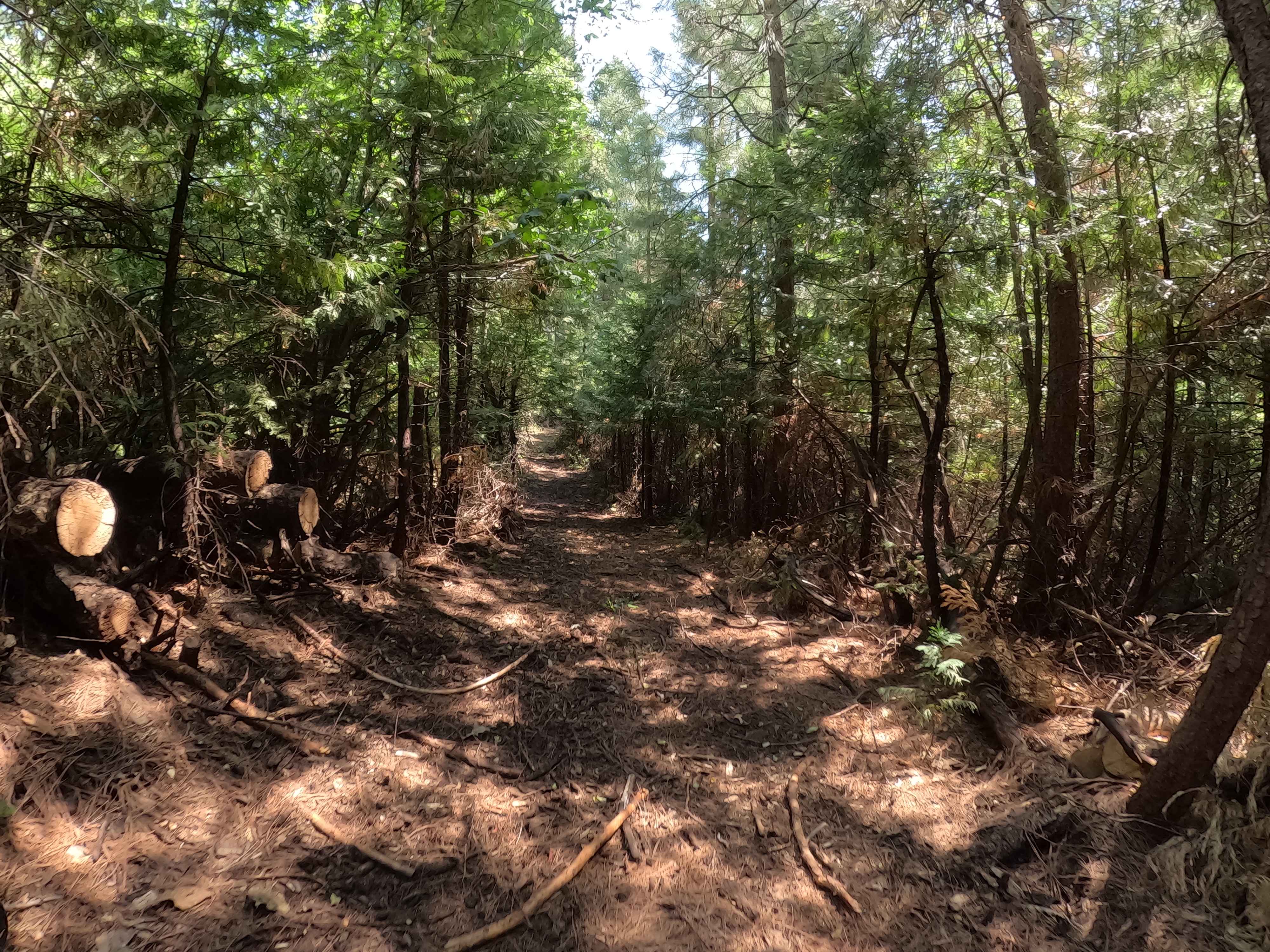 Pilot Cutoff - FS 6S063A