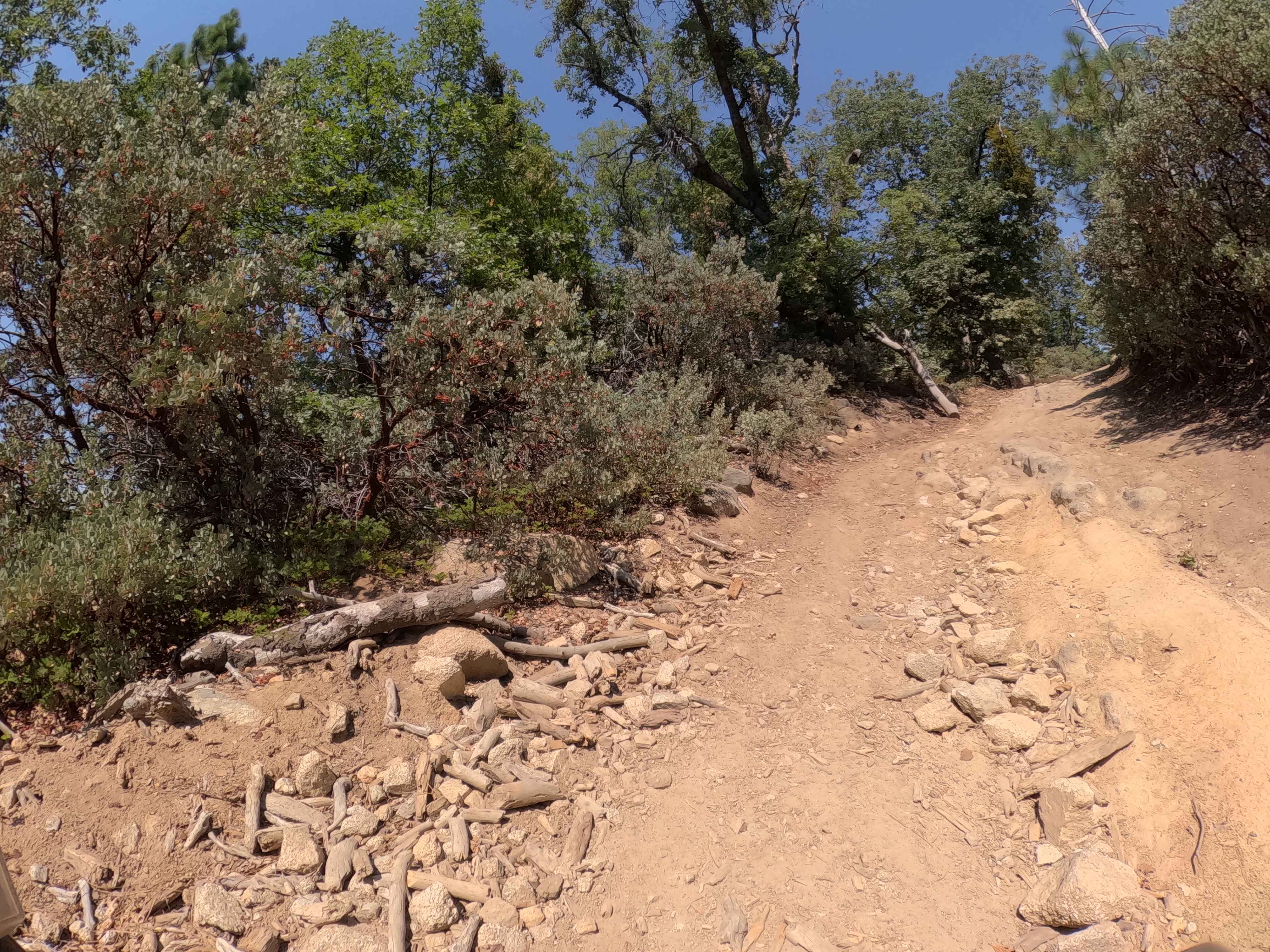 Tijuana Camp - FS 5S041