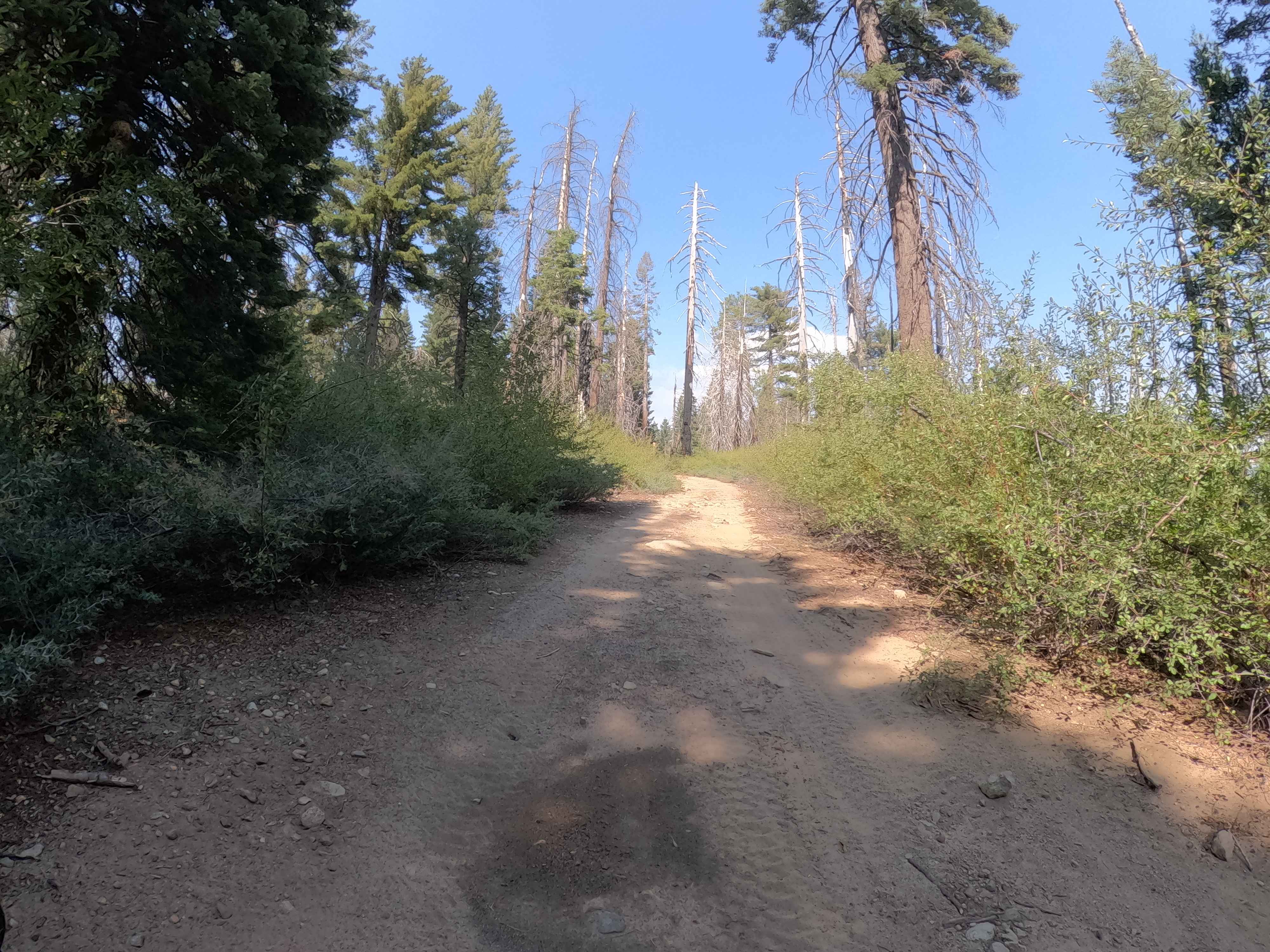 Dobler Meadow - FS 4S031