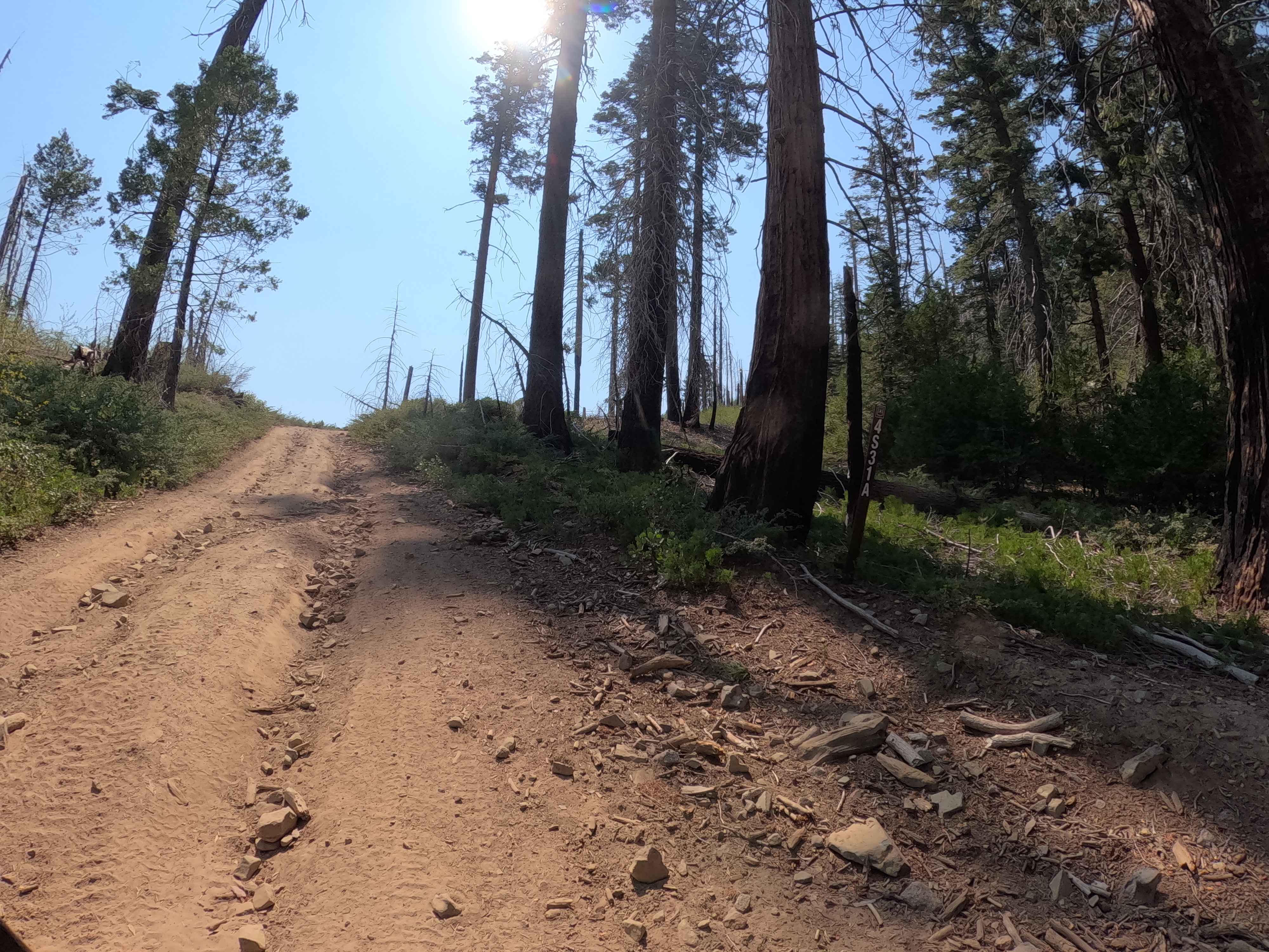 Signal Peak - FS 4S031A