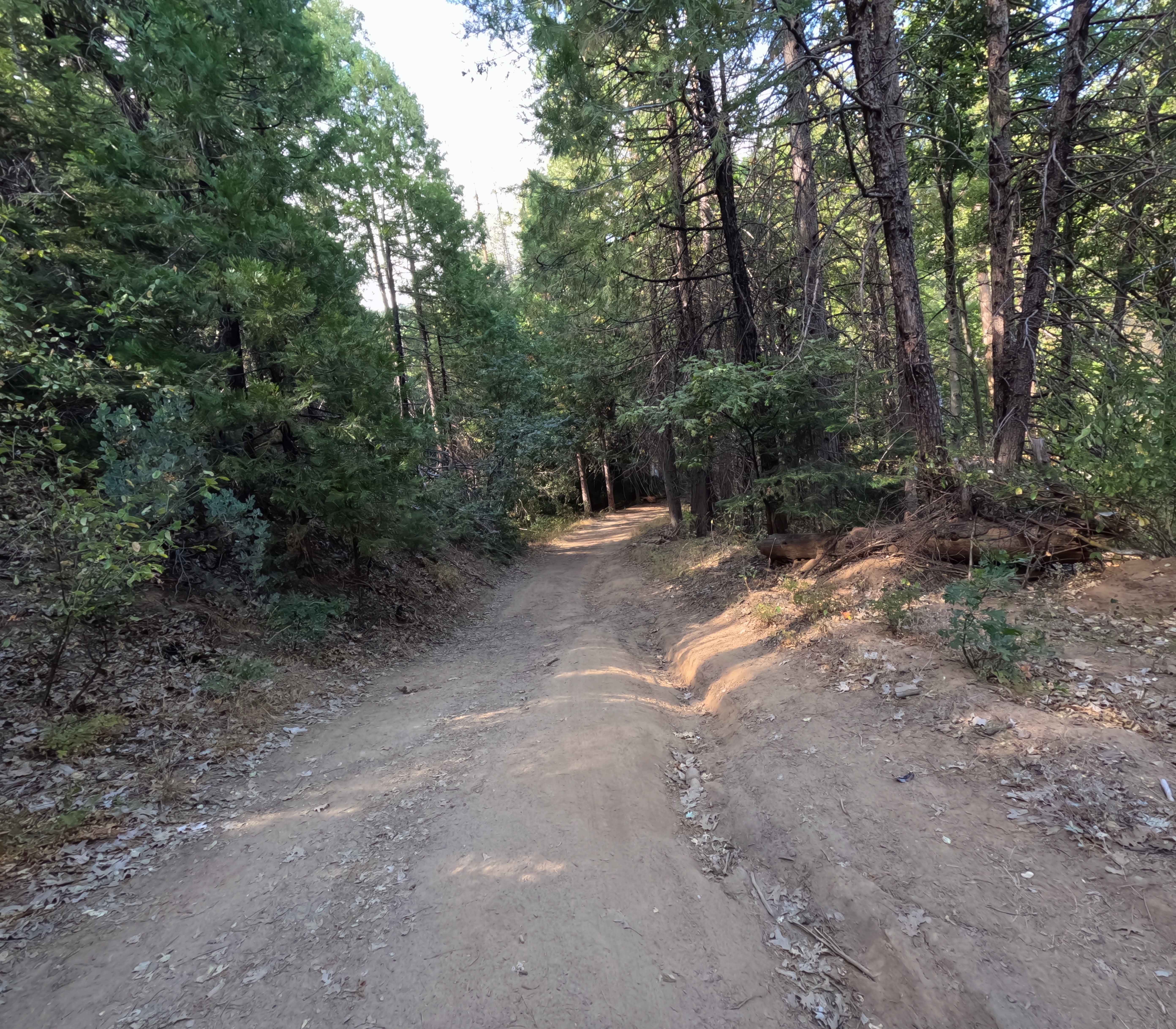 Chowchilla Mountain Road - FS 5S090