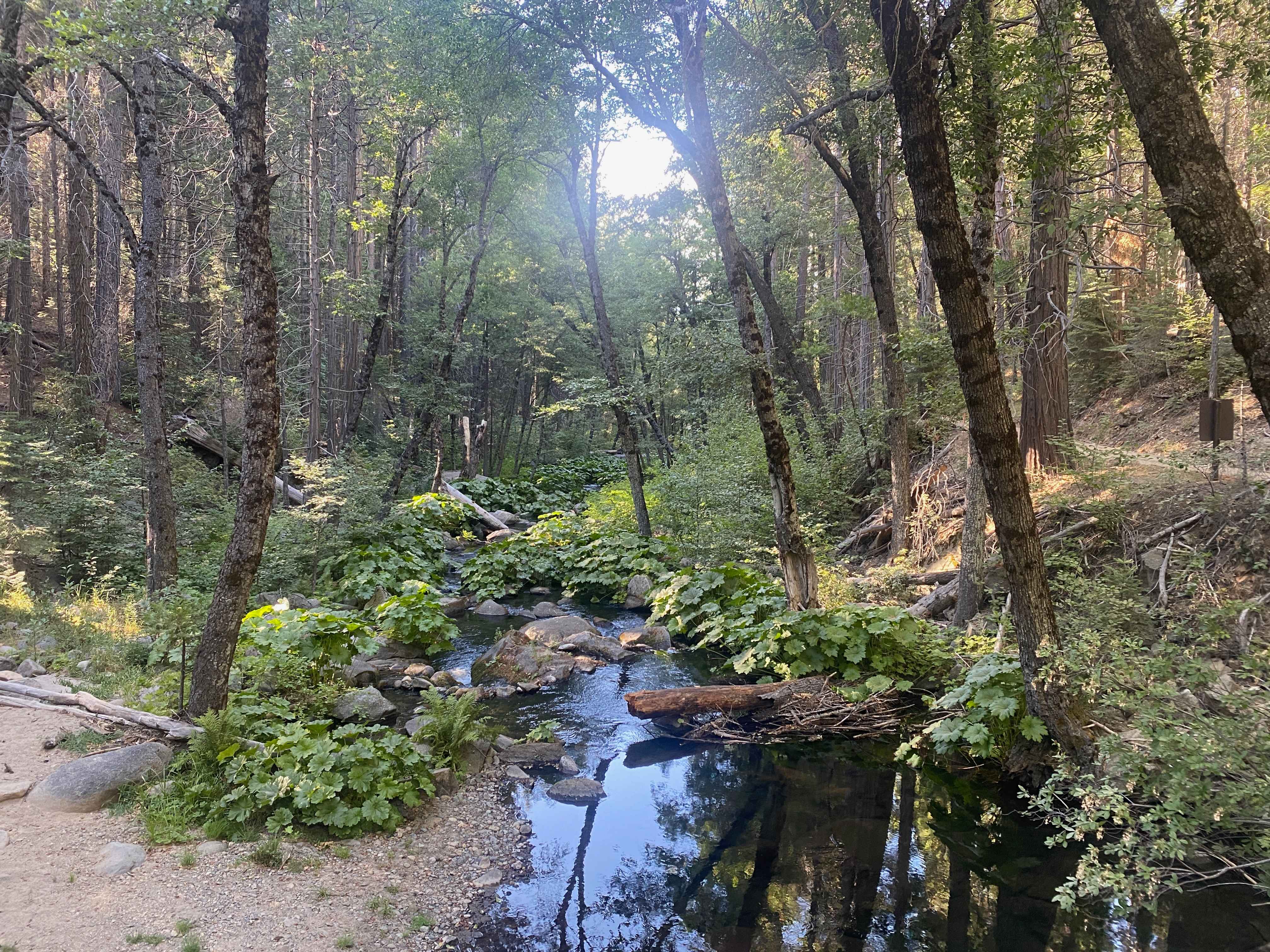 Chowchilla Mountain Road - FS 5S090