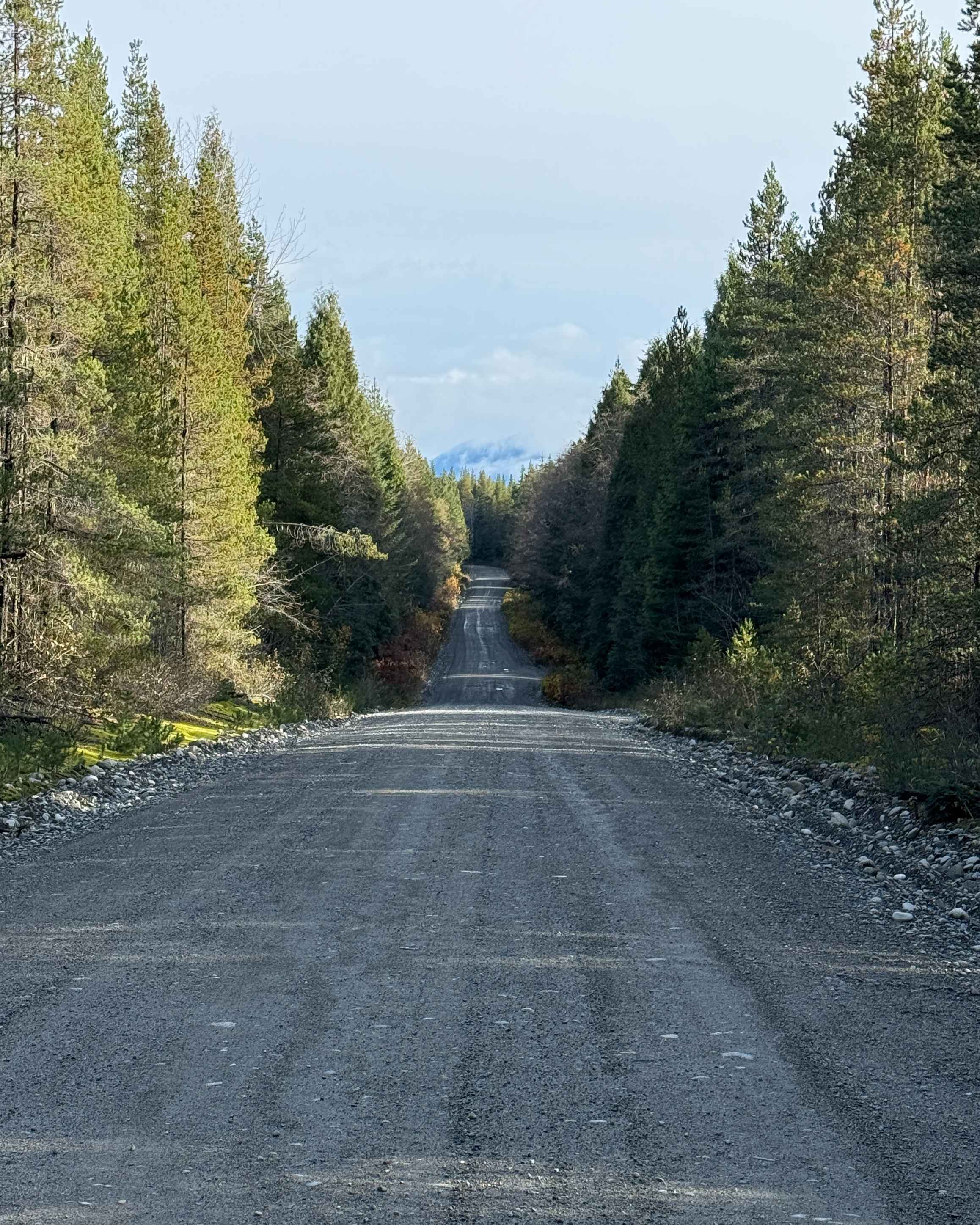 West Kalum Forest Service Road