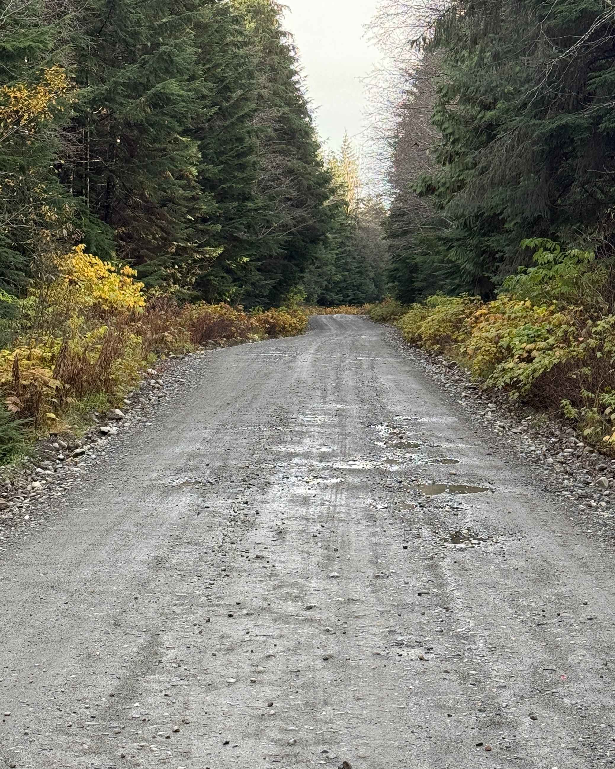 West Kalum Forest Service Road