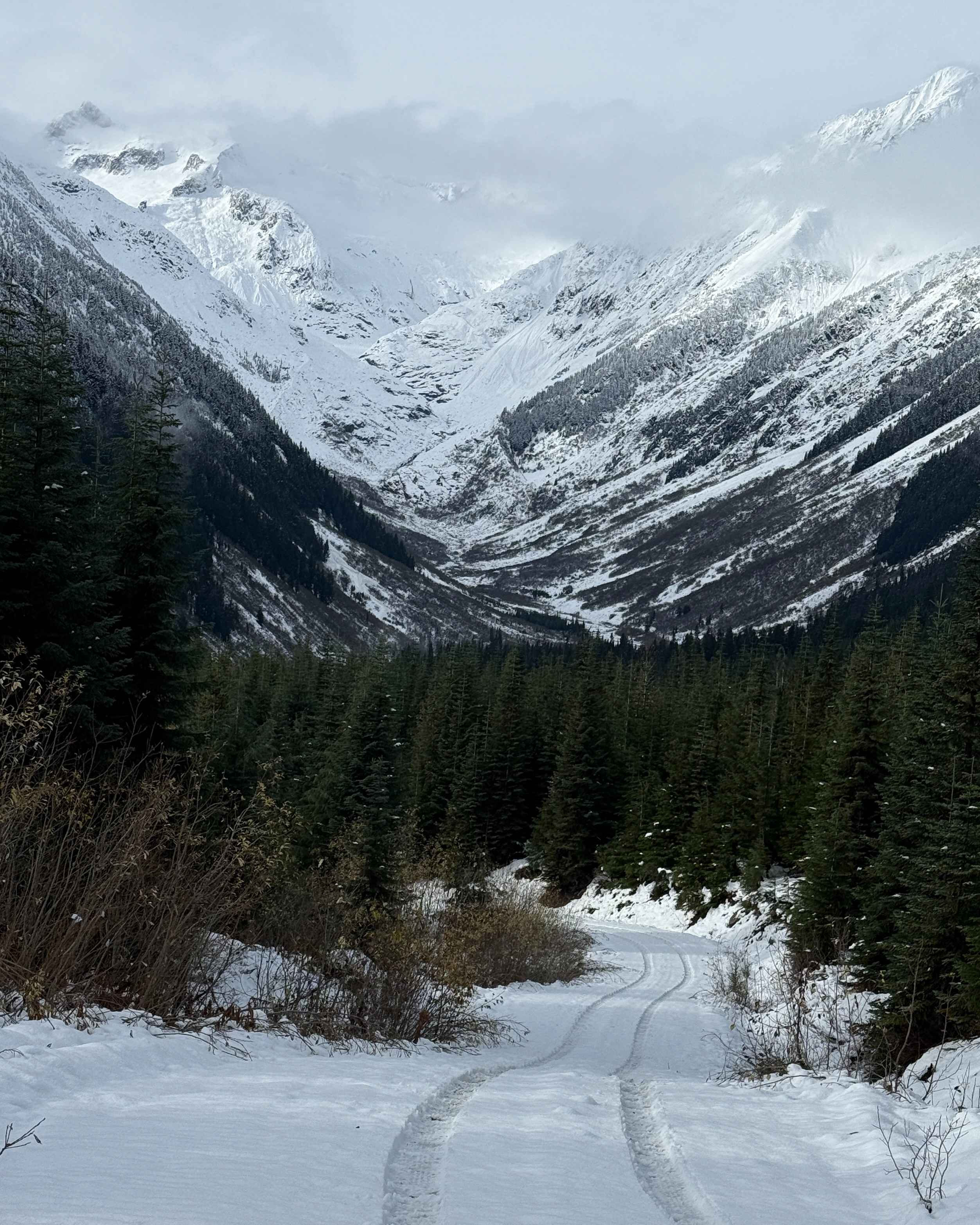 Mayo Creek Forest Service Road