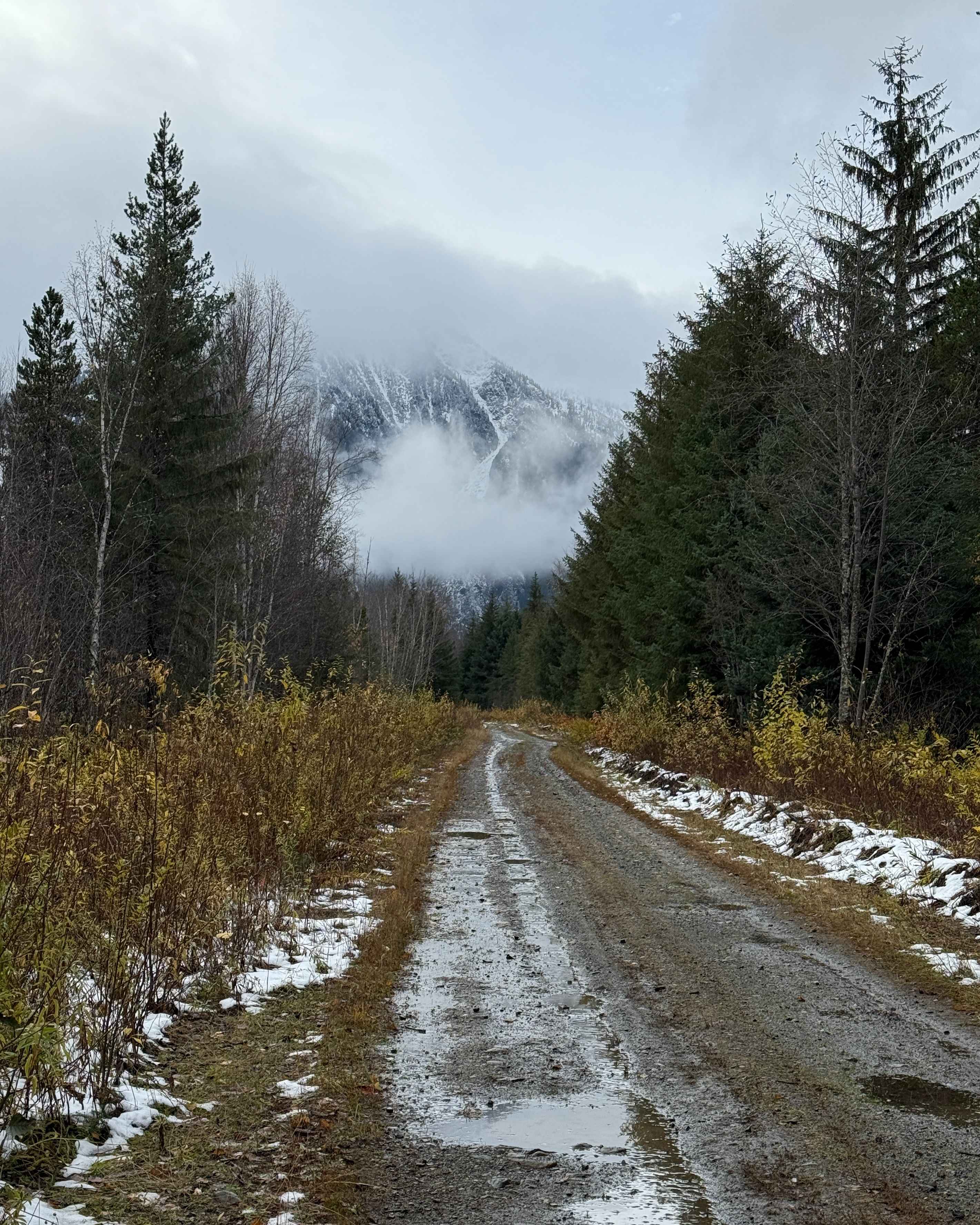 Mayo Creek Forest Service Road