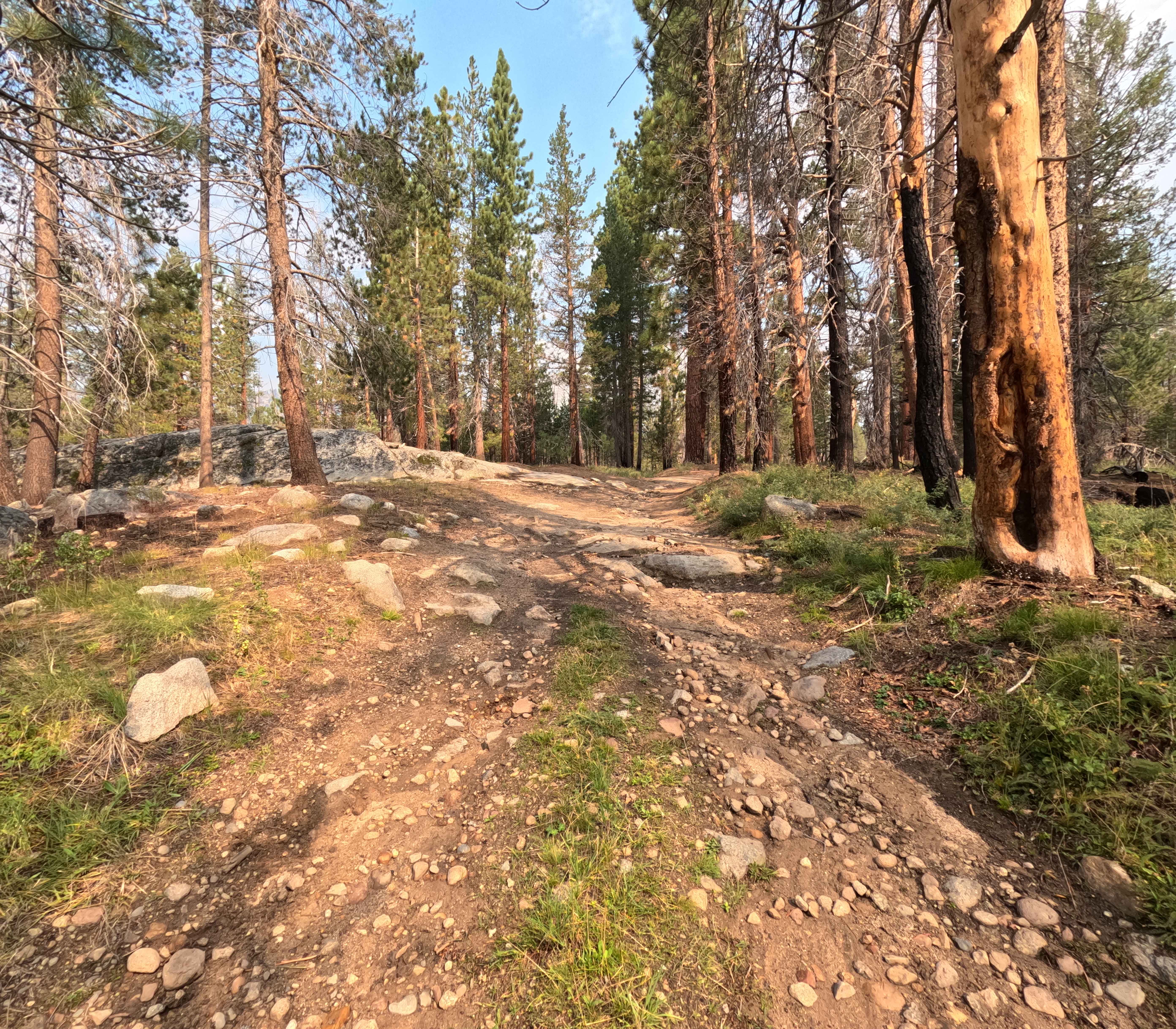 Onion Springs - FS 27E223