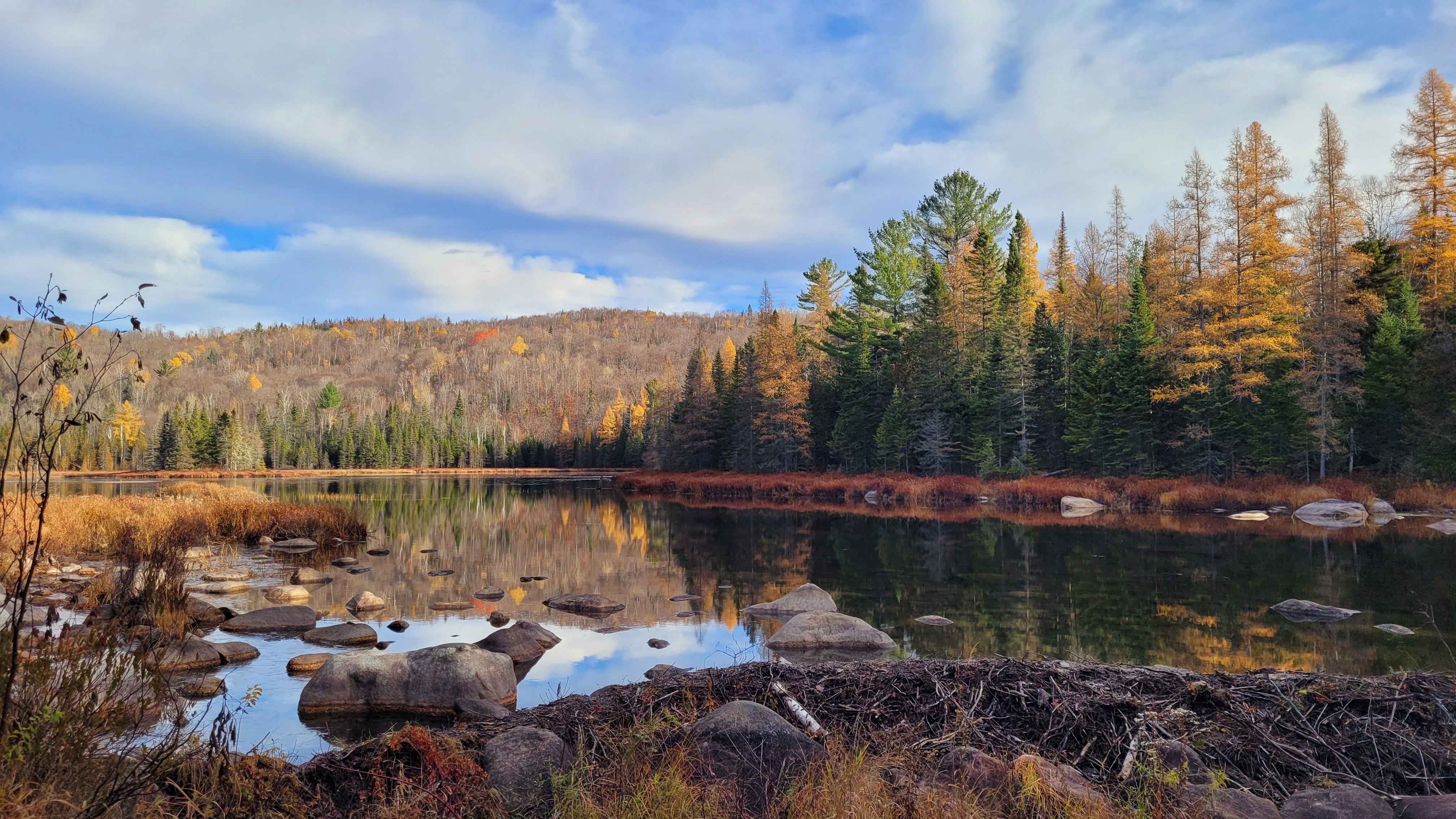 Mammouth du lac Noir