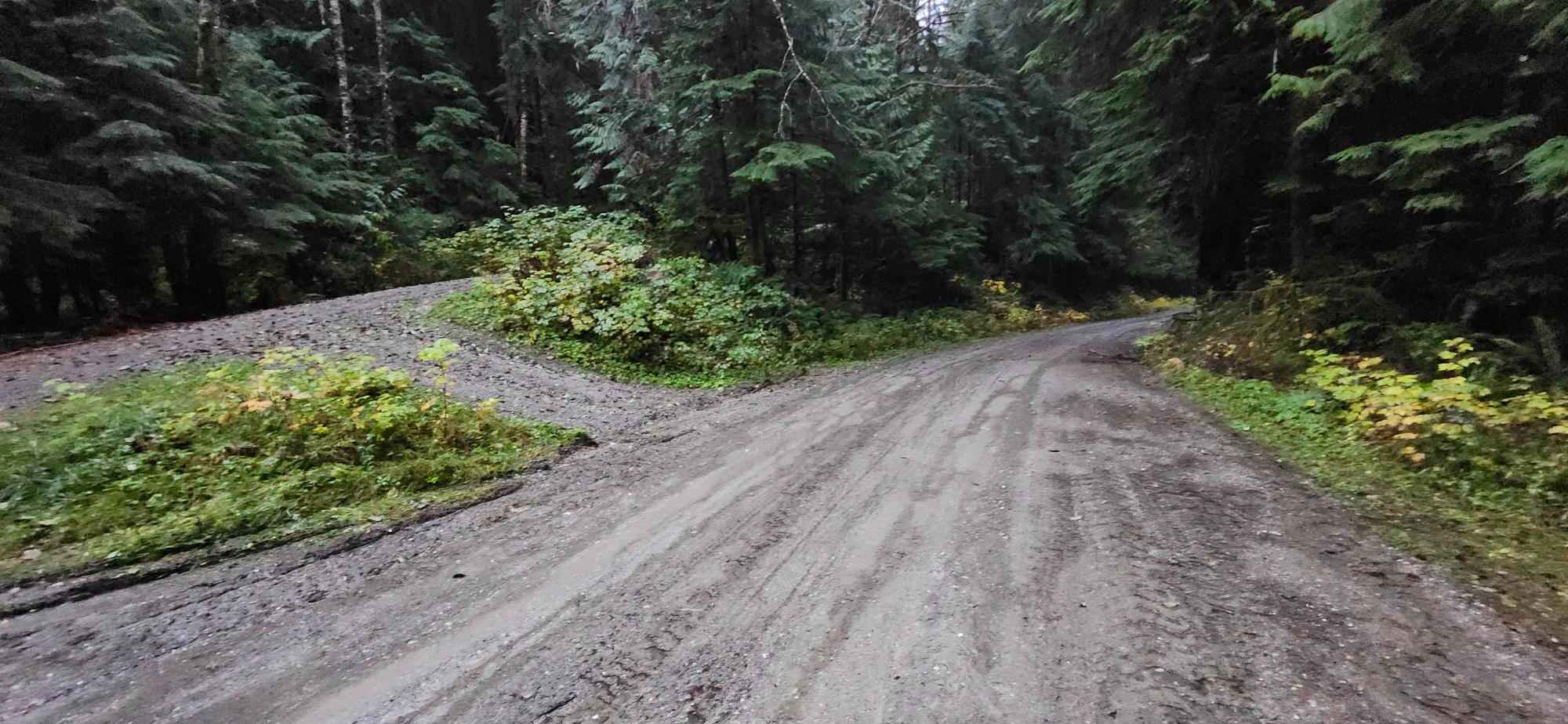 North Fork Stilly Road