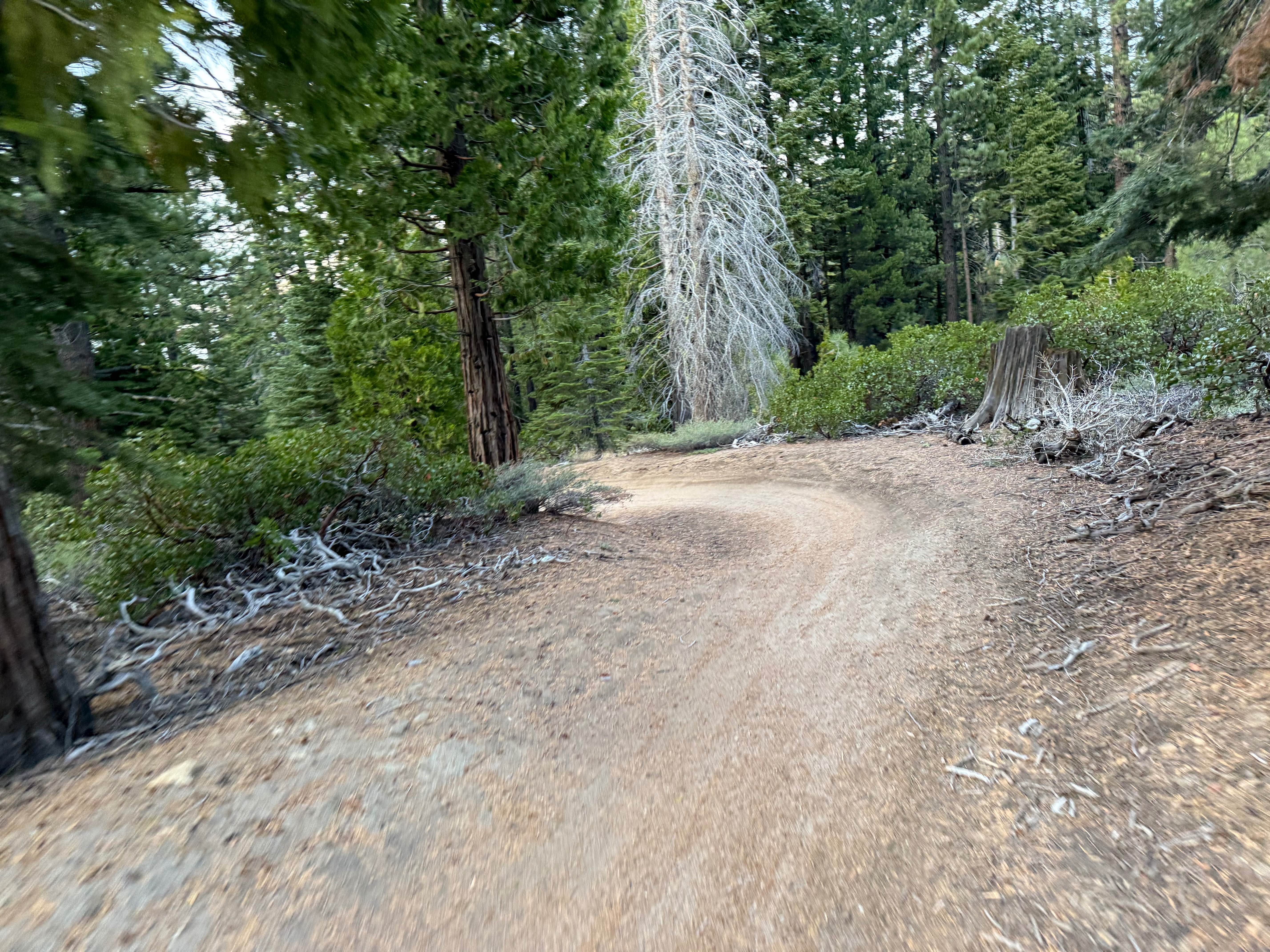 Corral Trail Alt Turns