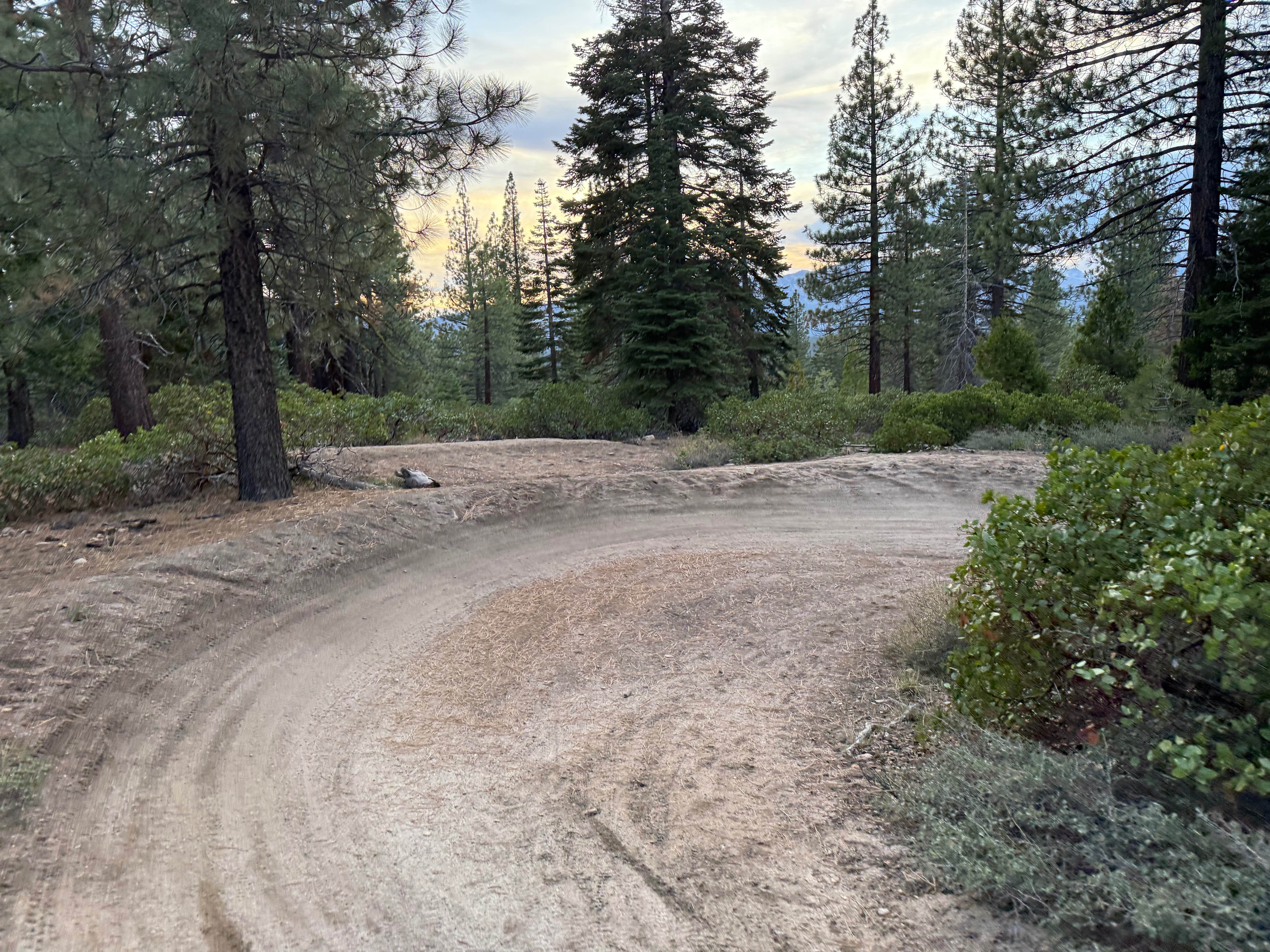 Corral Trail Alt Turns