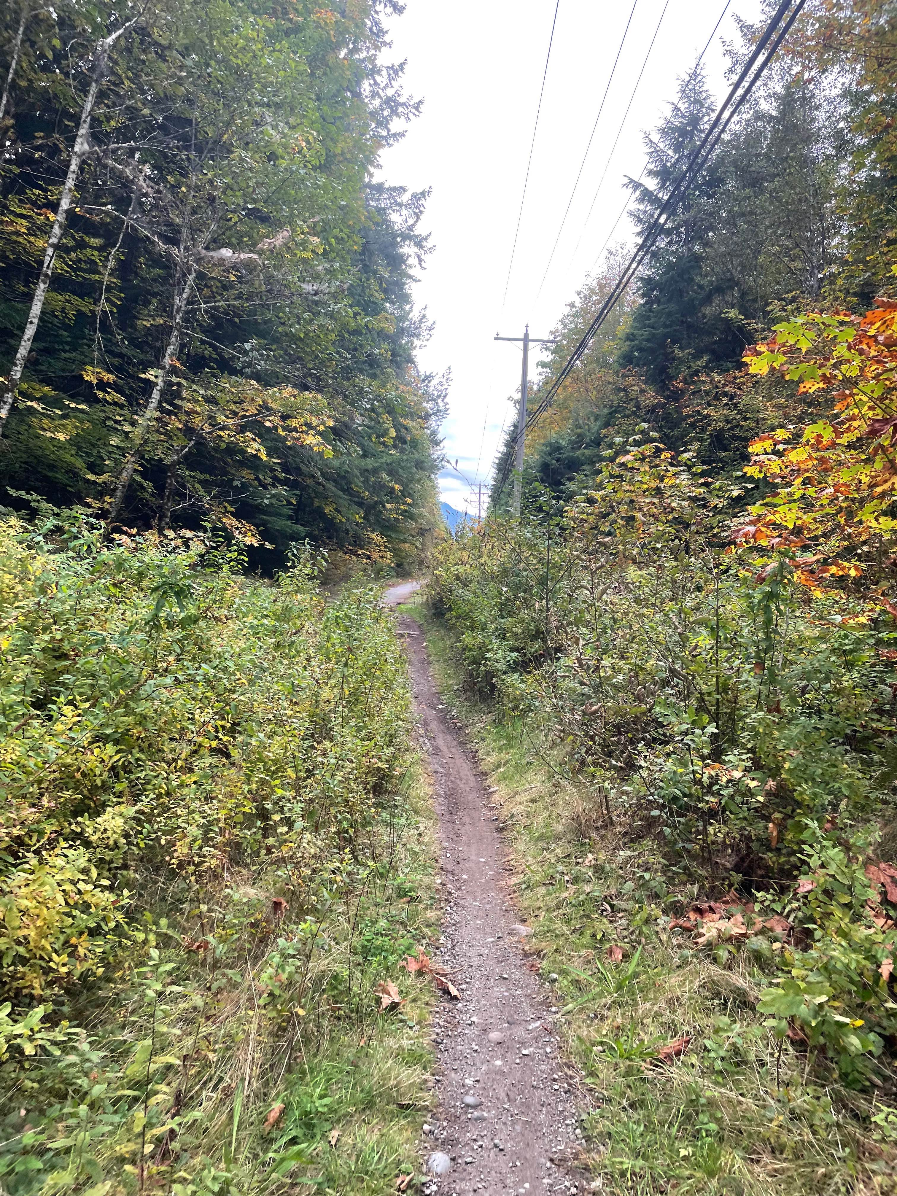 Old Government Road Single Track